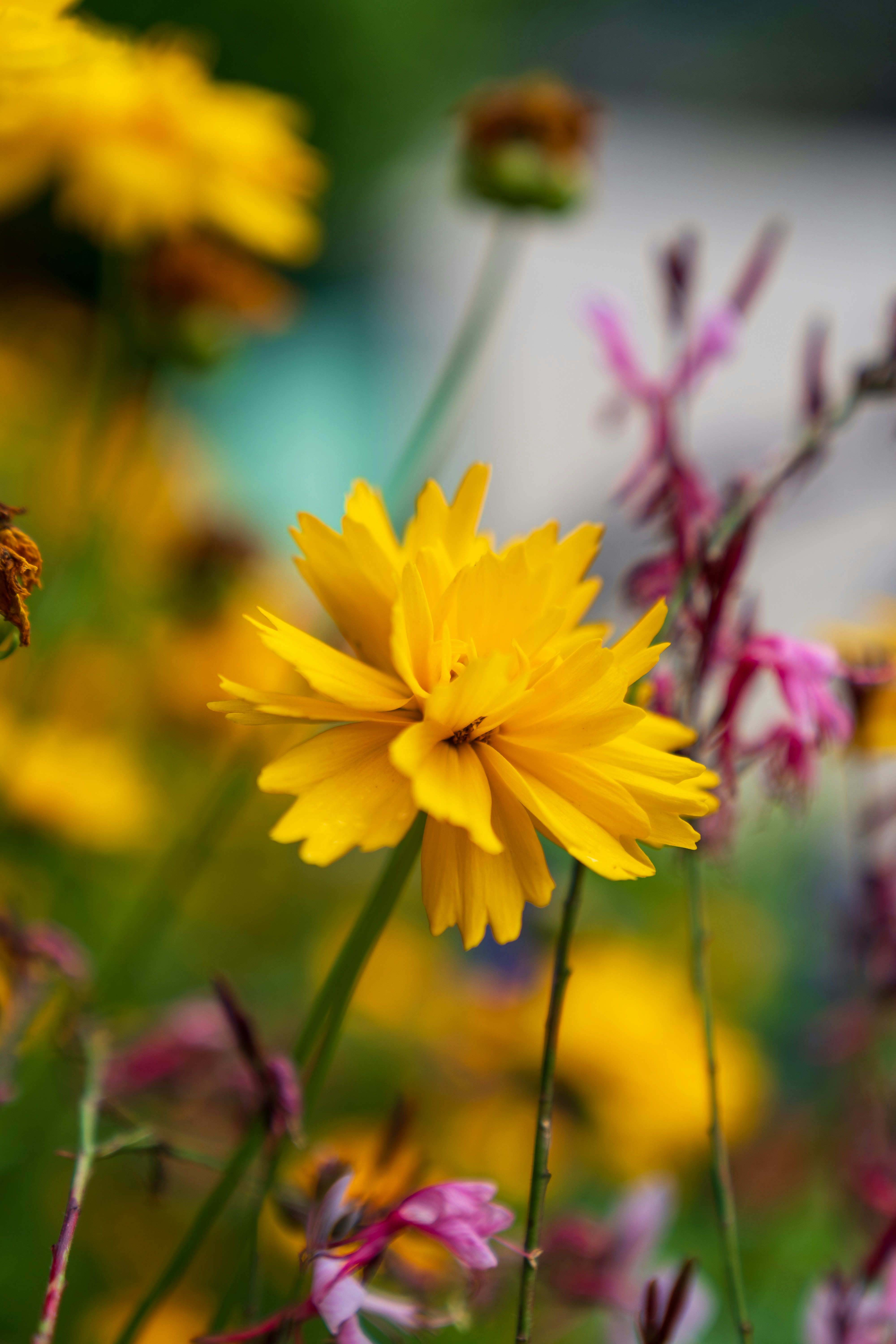 Photo by bangscreative