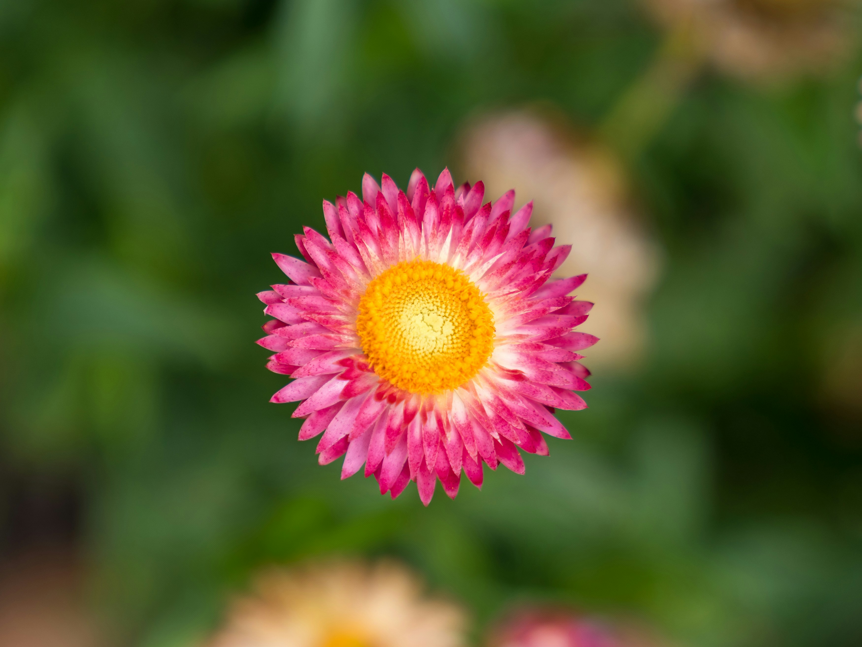 Photo by bangscreative