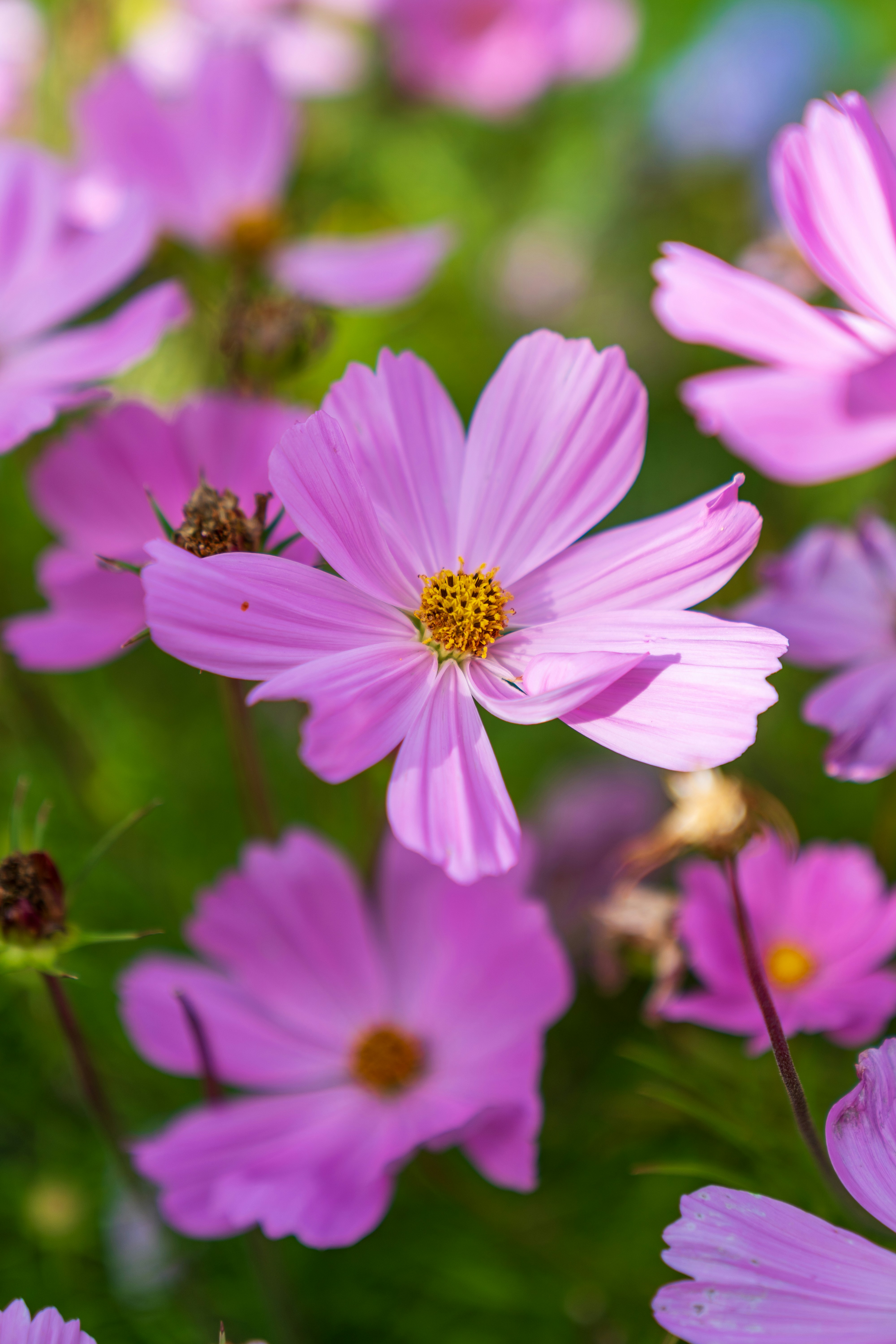 Photo by bangscreative