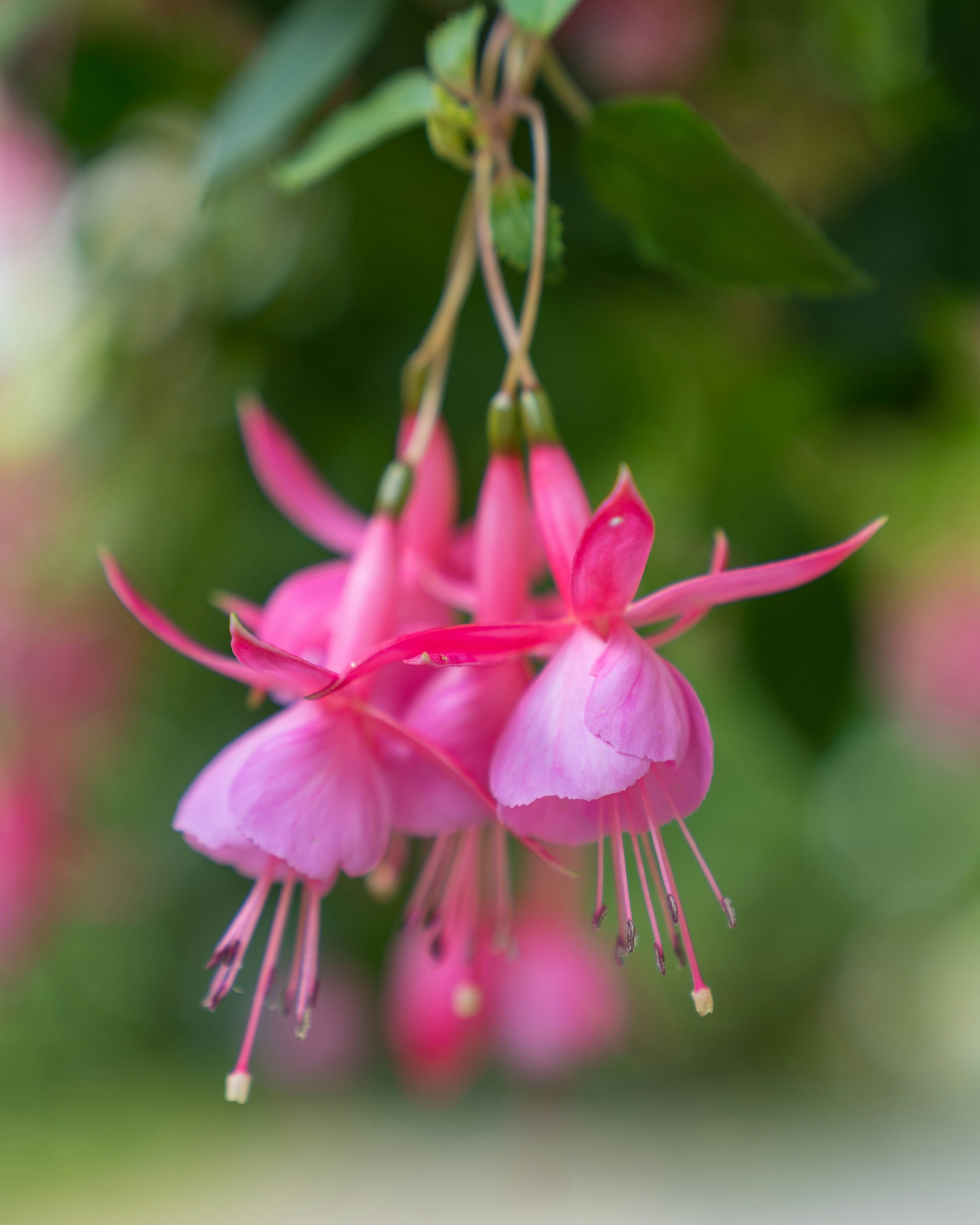 Photo by bangscreative