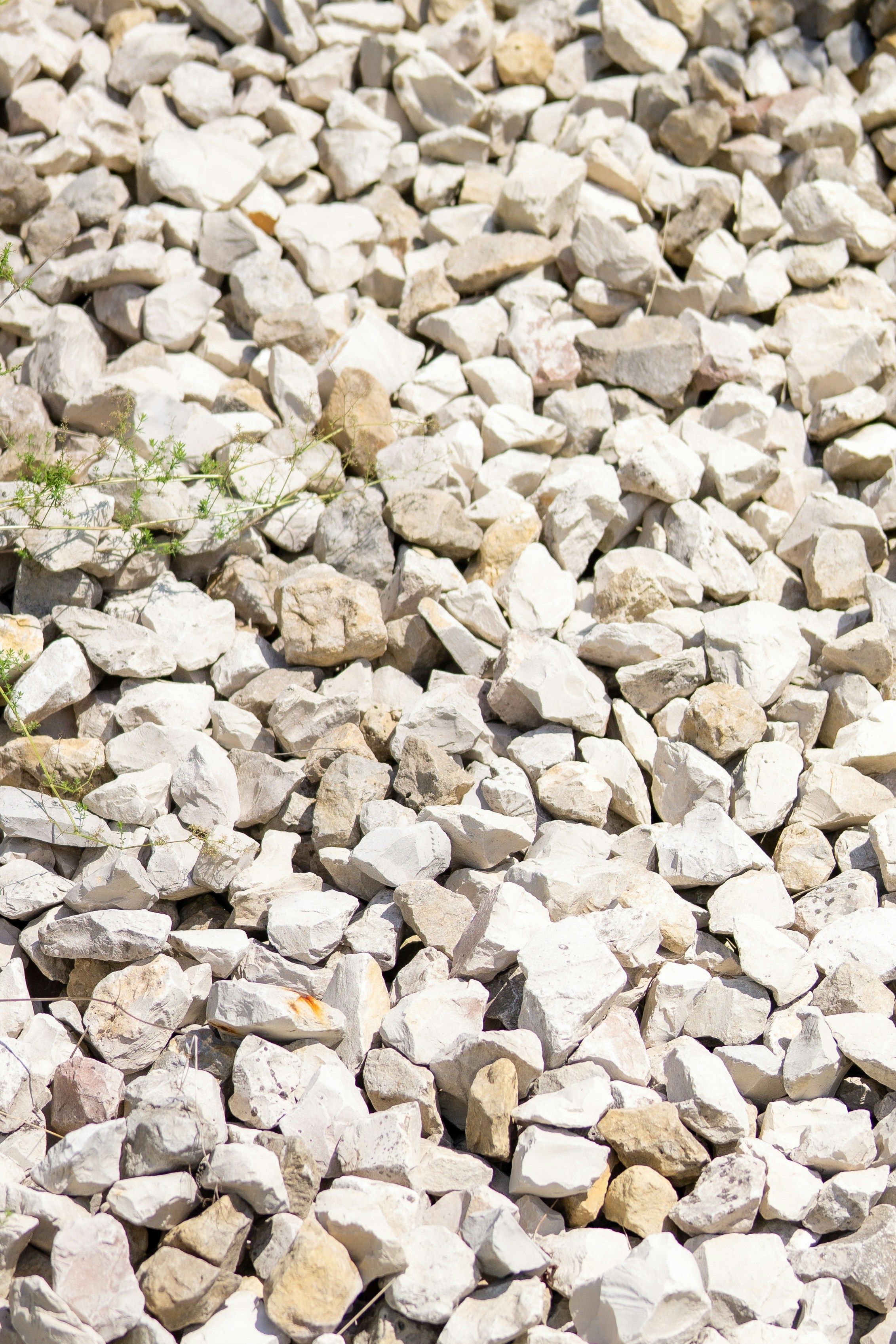 Photo by bangscreative