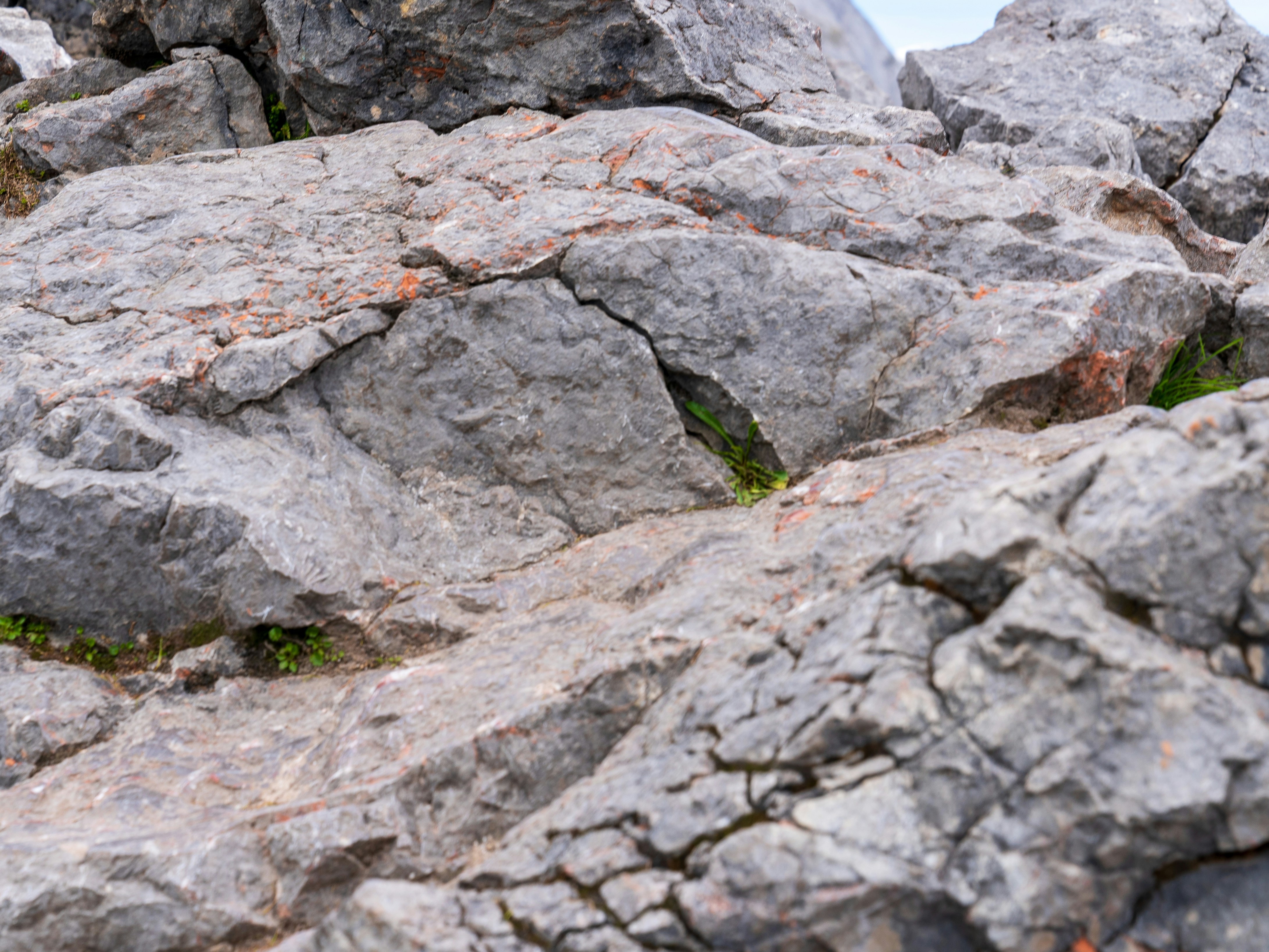 Photo by bangscreative