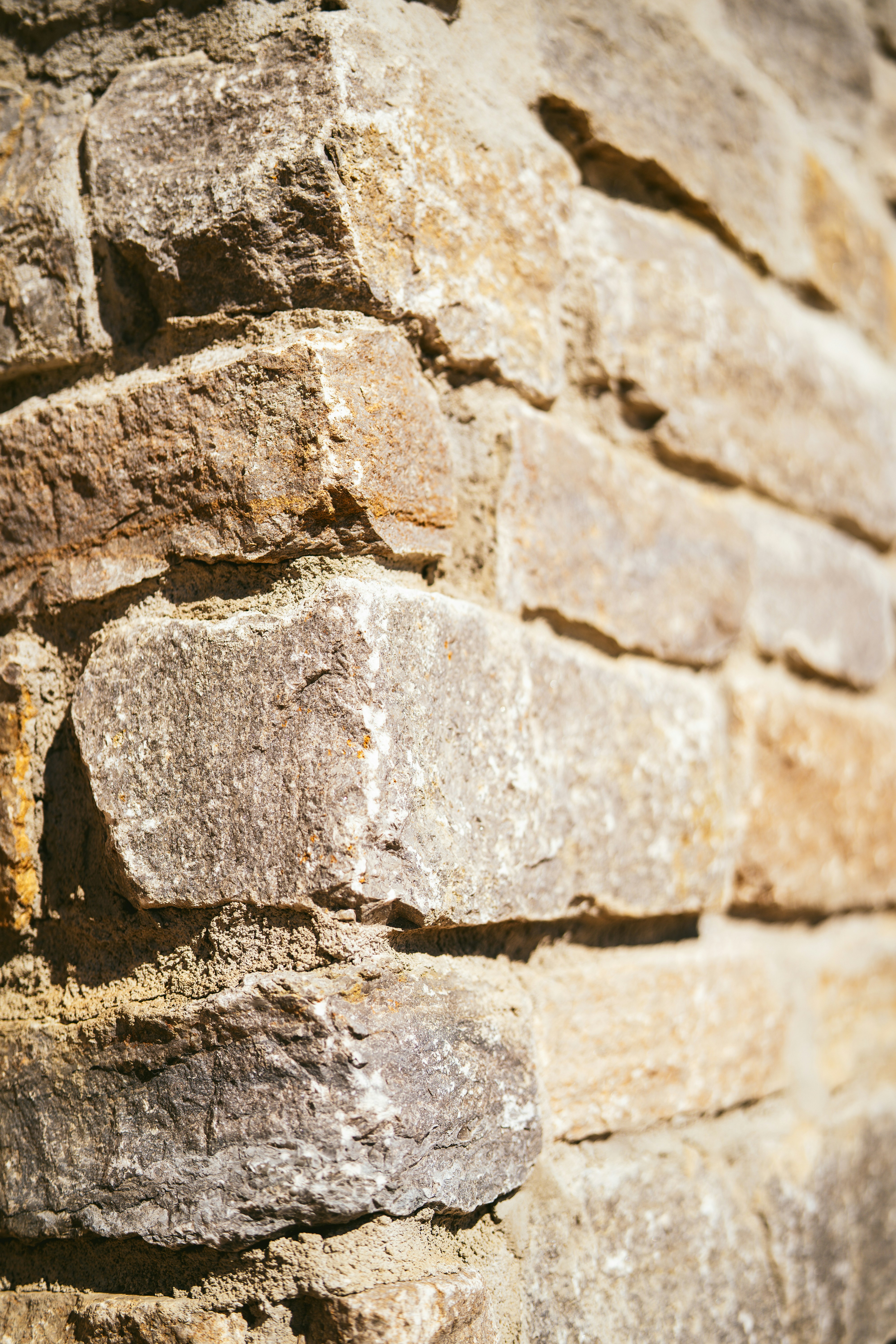 ADU | Residential | Commercial Building Designer's image