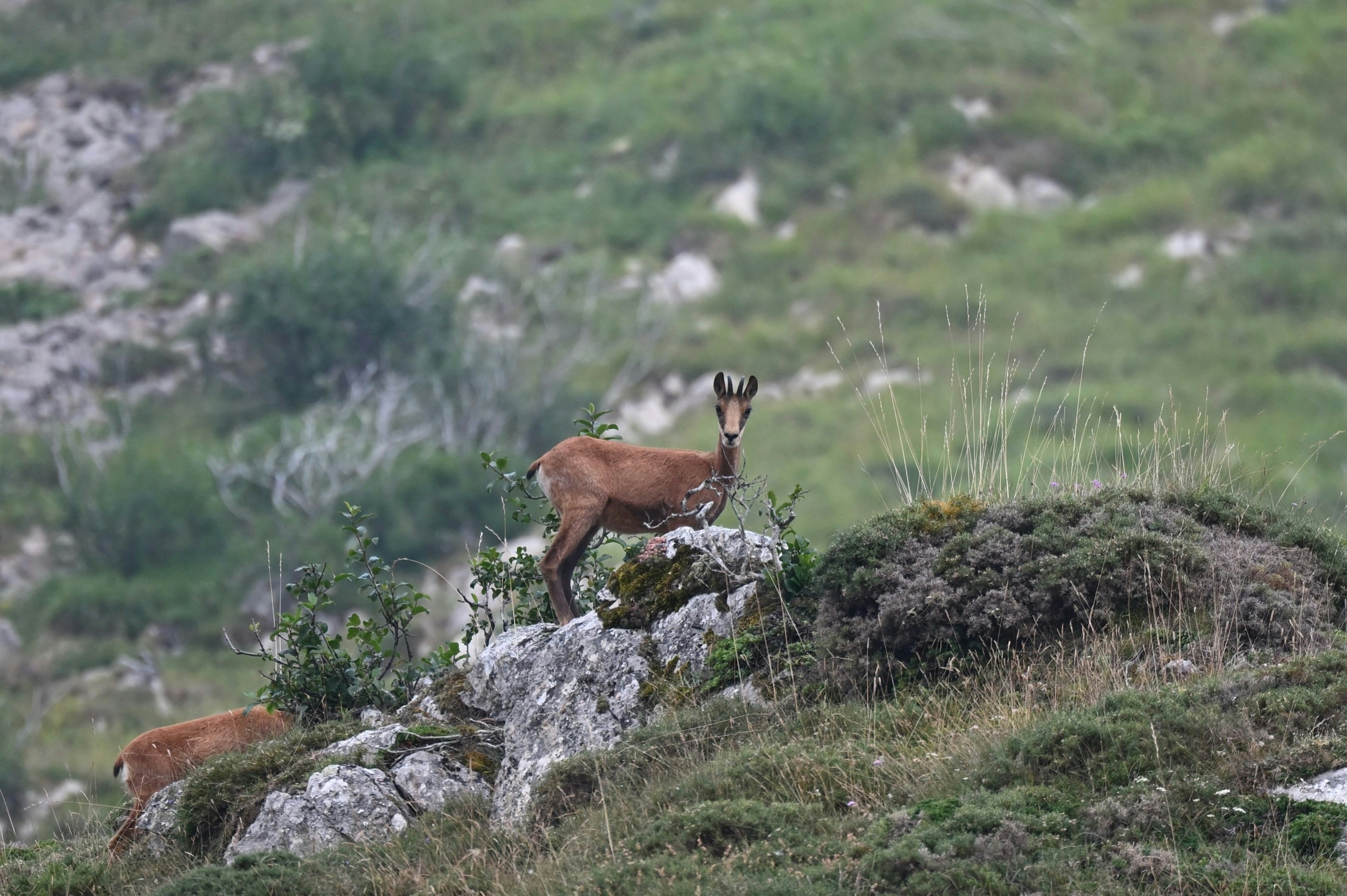 Photo by jeandekindt