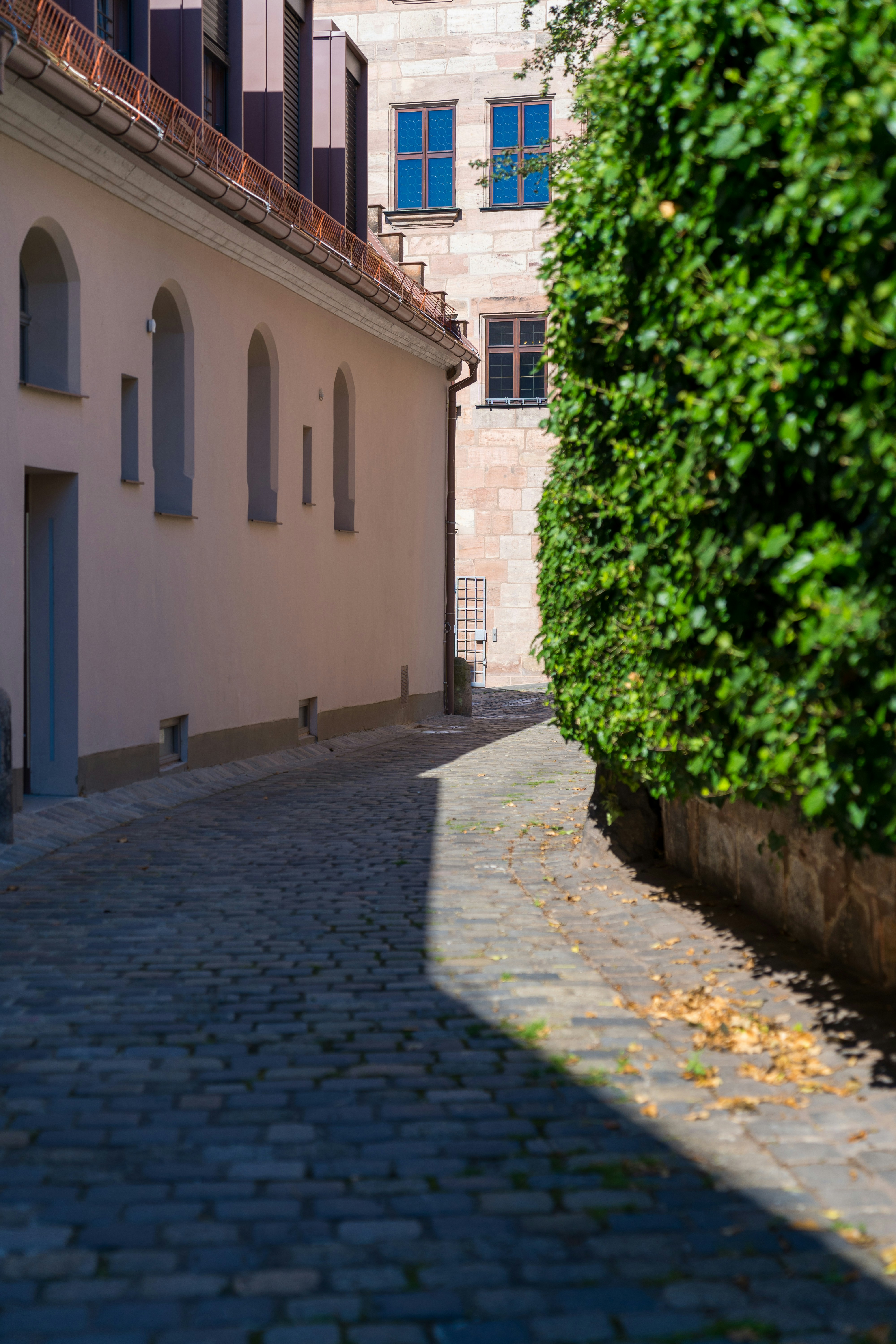 Photo by bangscreative