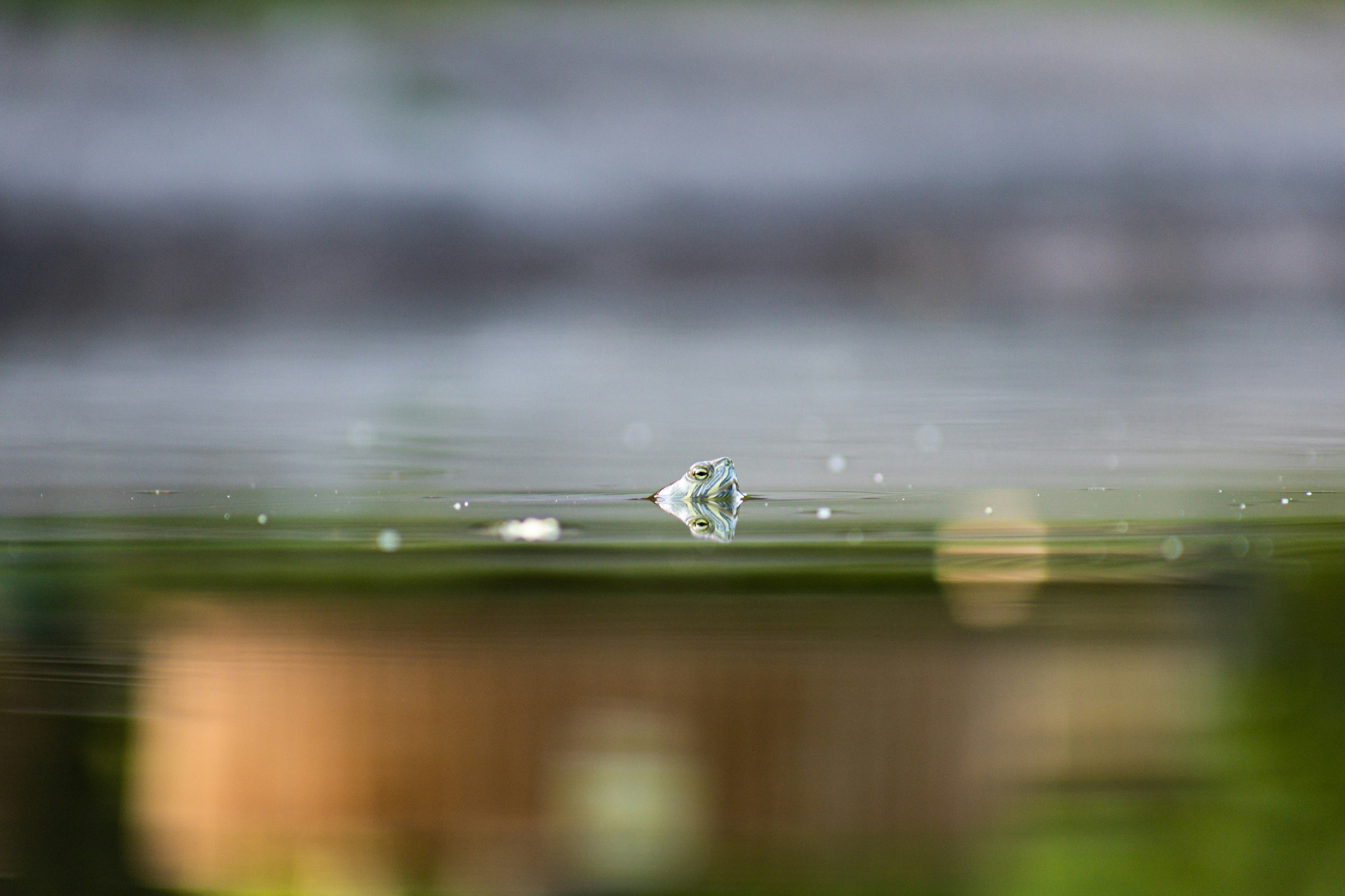 Ein verschwommenes Foto eines Wassertropfens auf einem Fenster