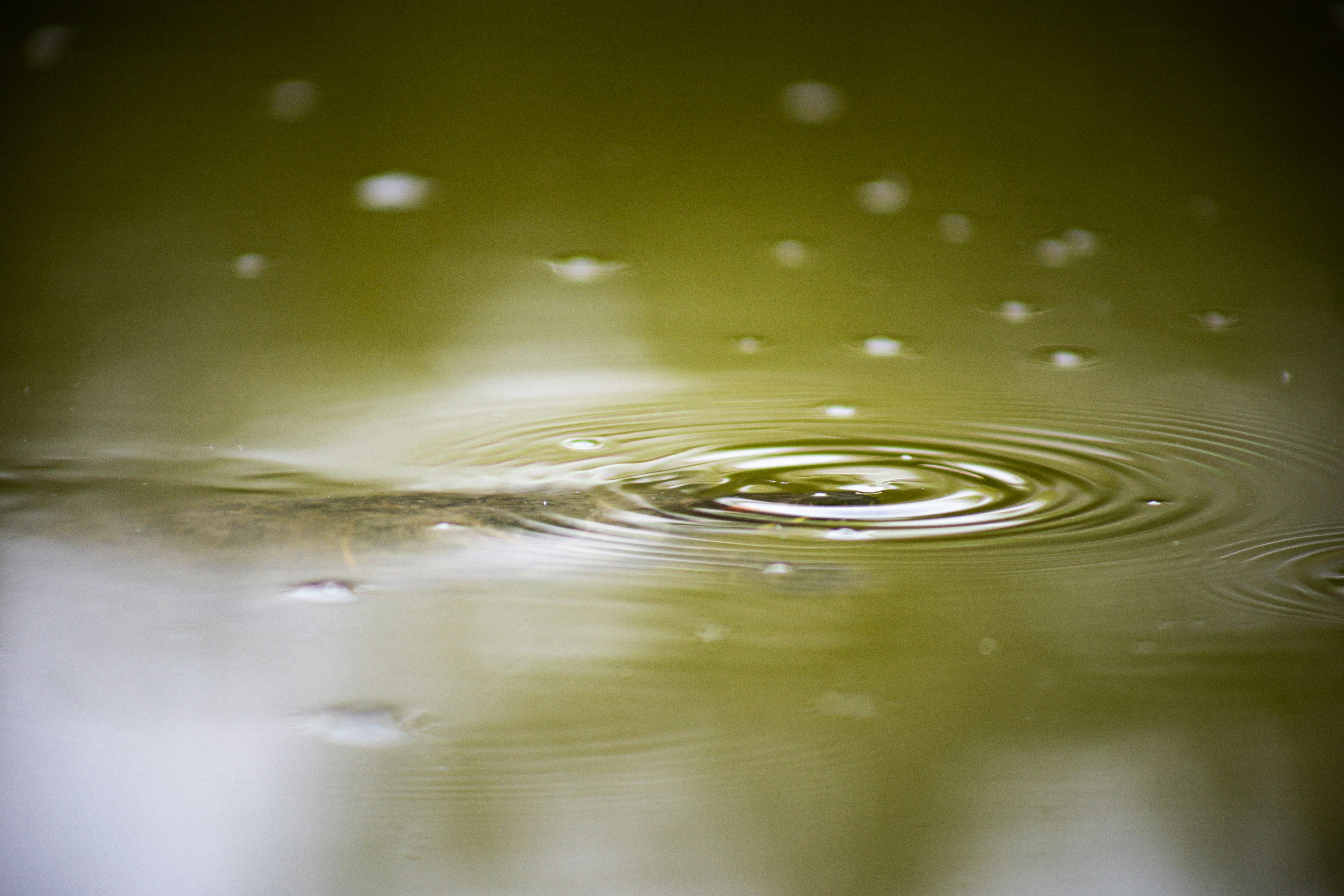 Nahaufnahme eines Wassertropfens mit verschwommenem Hintergrund