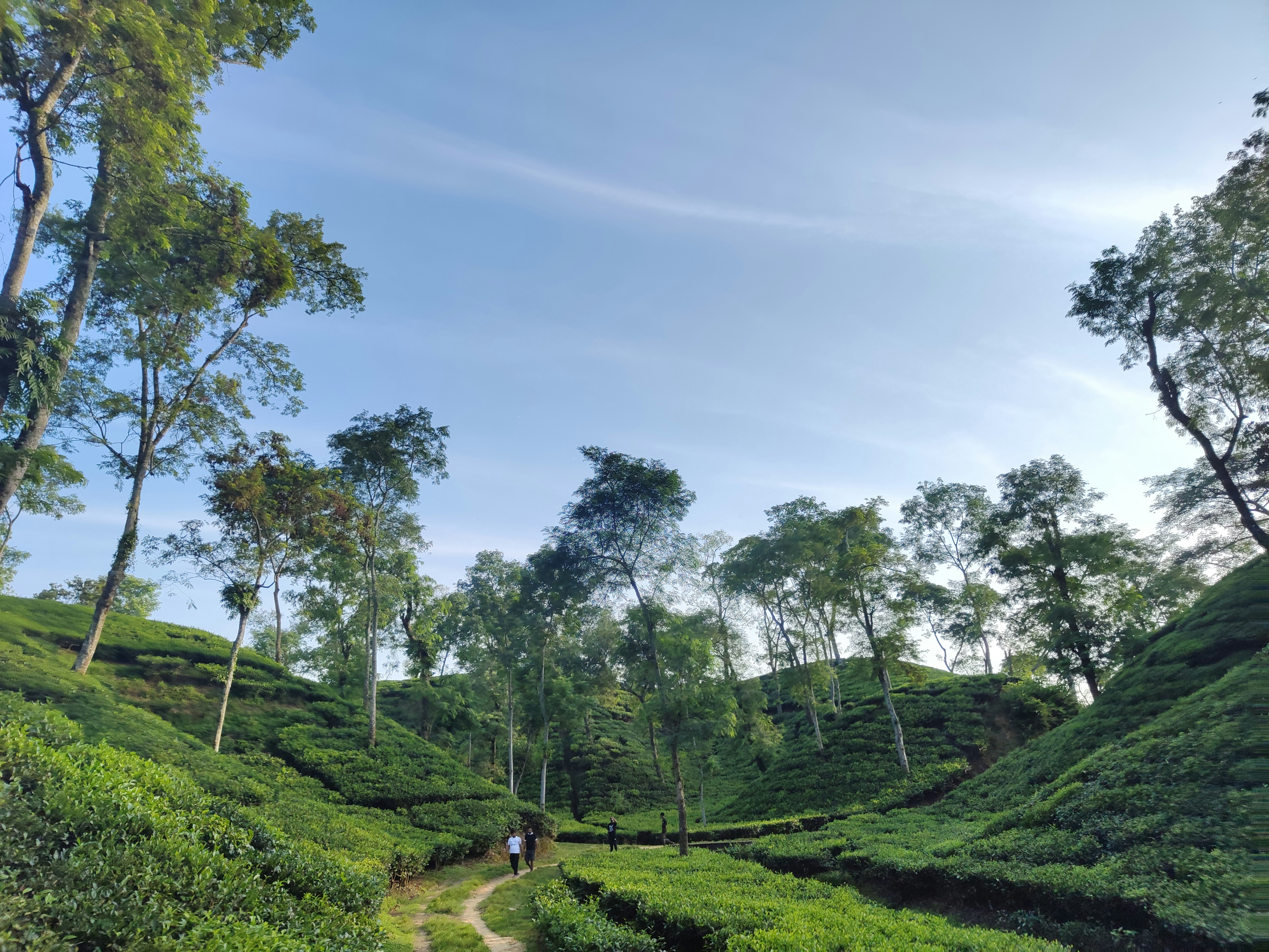 Photo by aron_nowhat