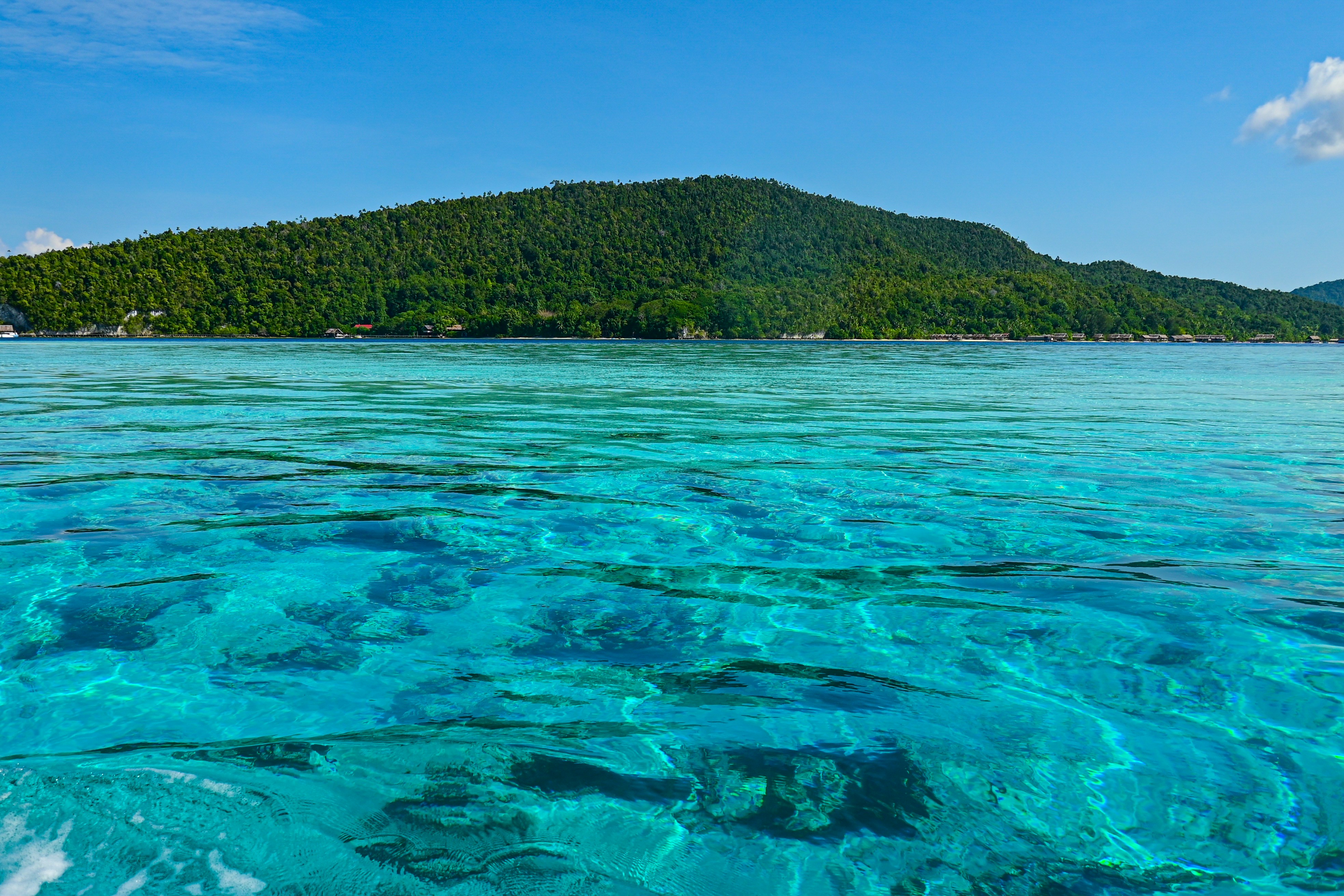 Pigeon Island Trincomalee Sri Lanka, crystal clear turquoise water, coral reef visible below surface, bright sunny day