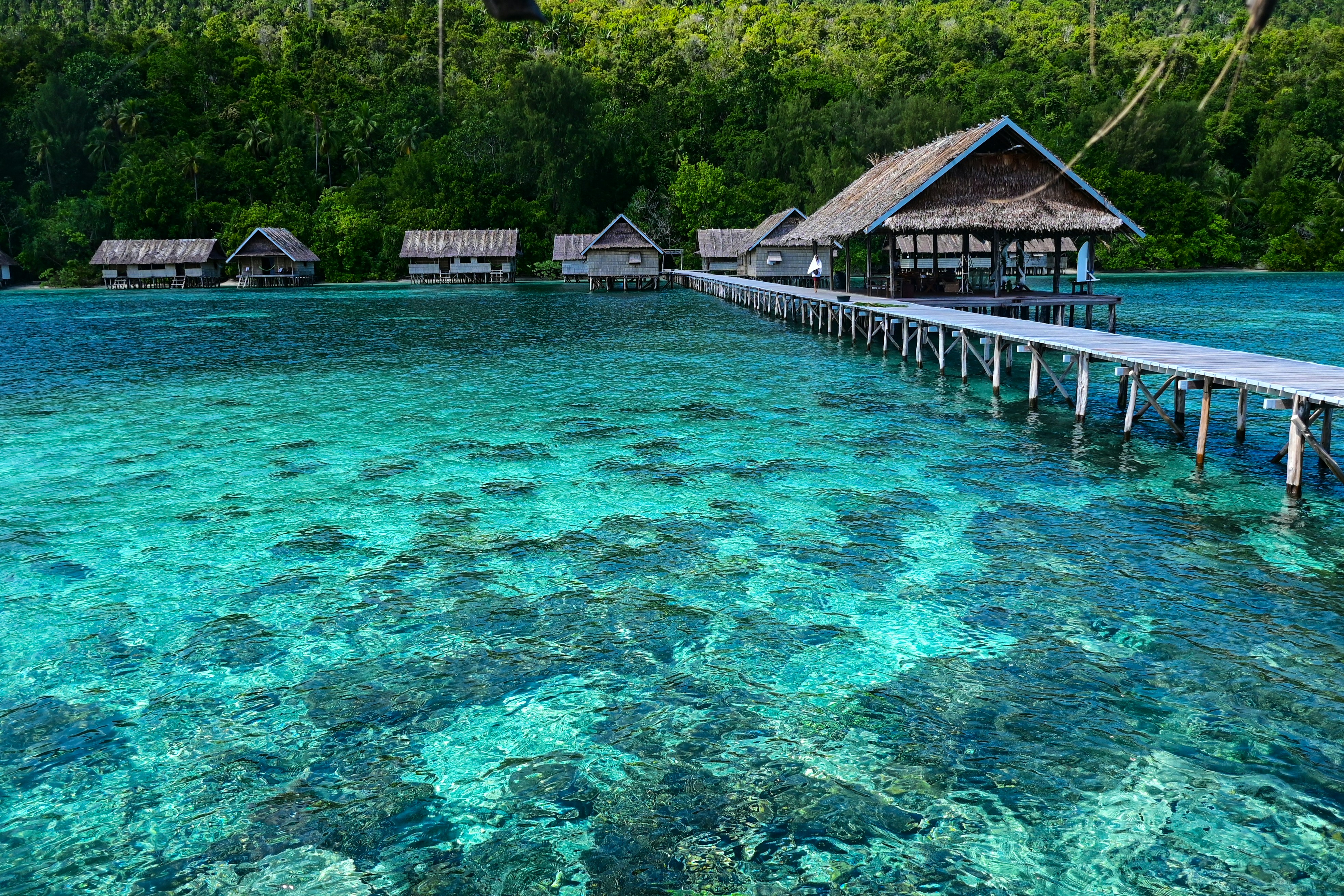 A dock leading to a resort on a tropical island