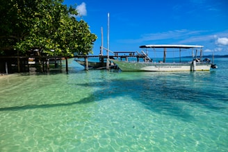 A couple of boats that are sitting in the water