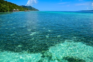 A body of water surrounded by trees and blue sky