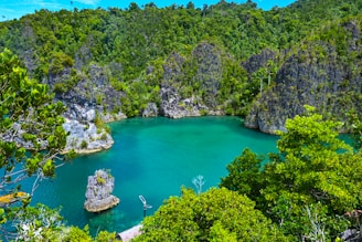 A lake surrounded by trees in the middle of a forest
