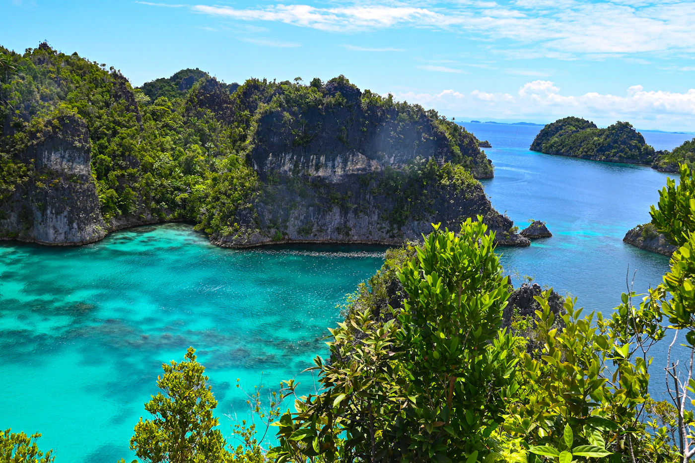 Emerald islets surrounded by turquoise water in Raja Ampat, Indonesia