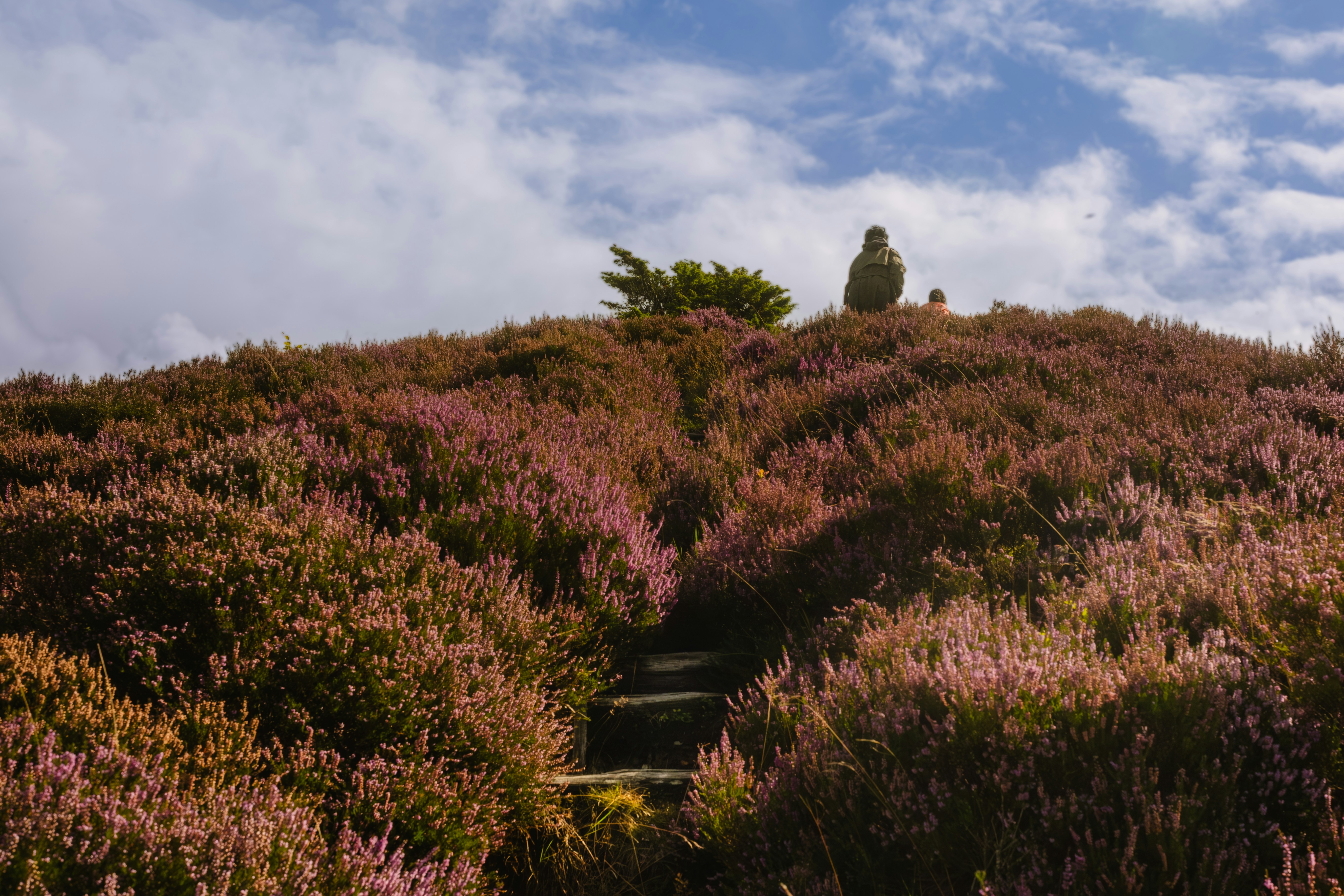 Photo by k_sariwating