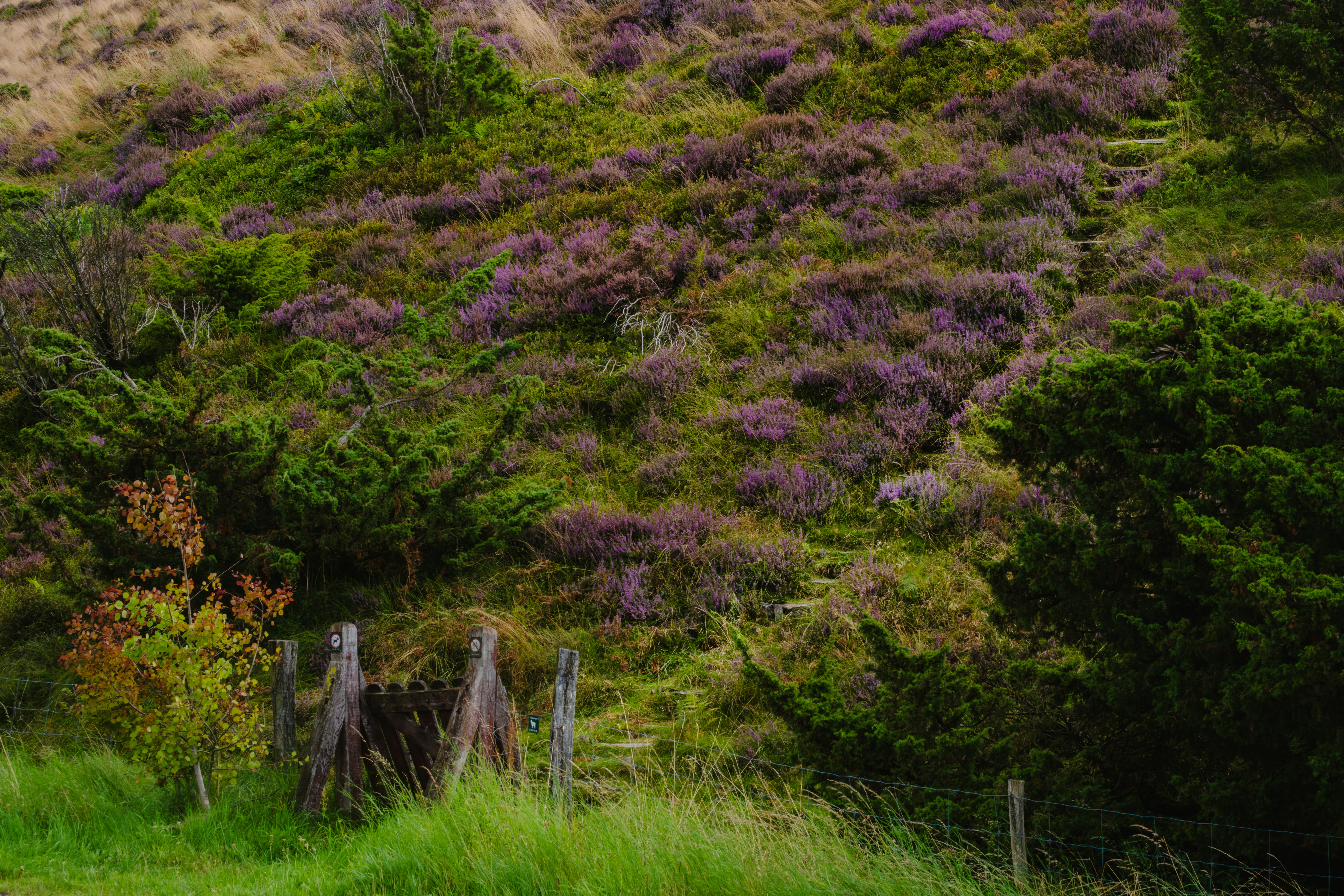 A man riding a horse down a dirt road
