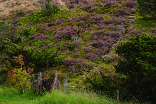 A man riding a horse down a dirt road