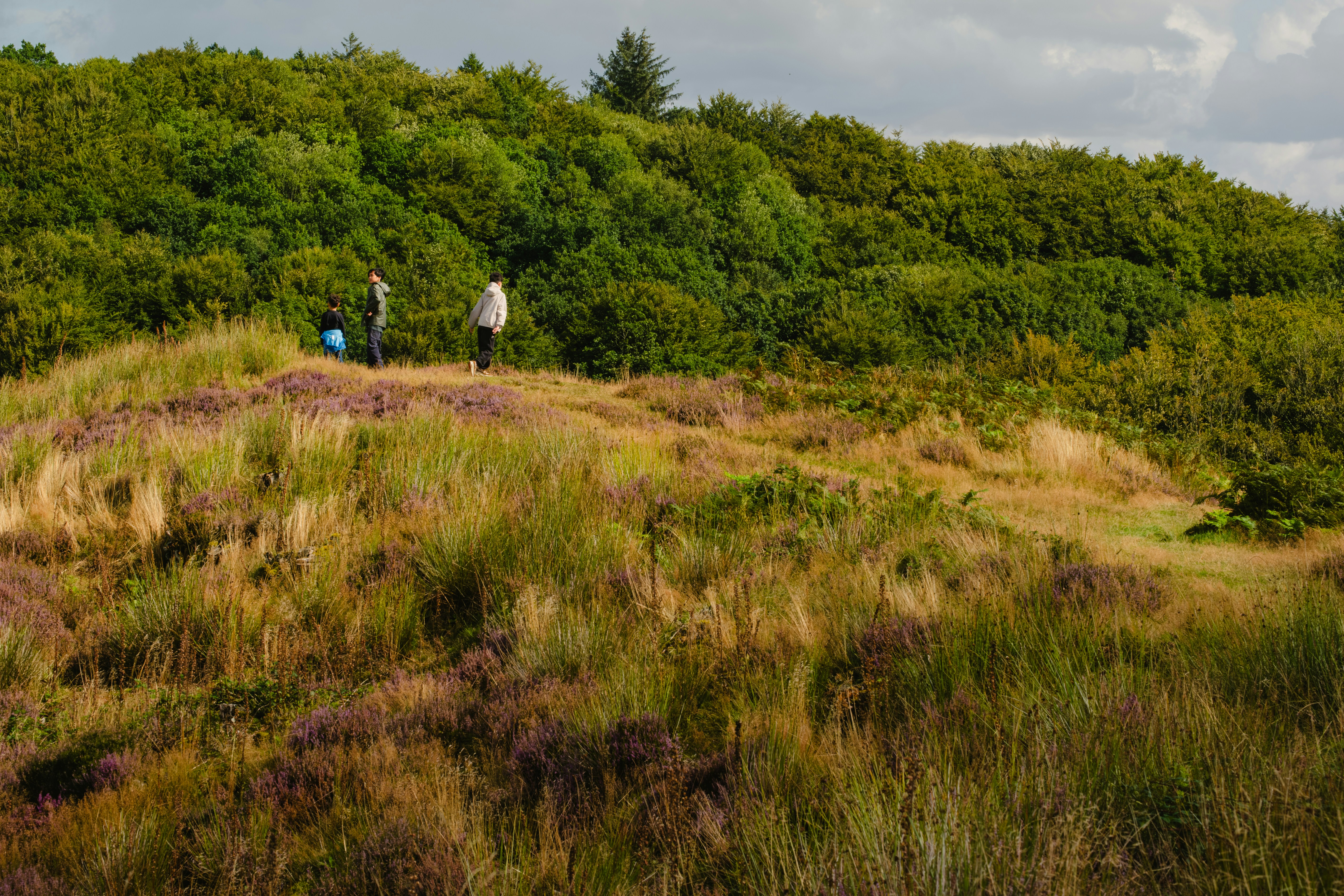 A couple of people standing on top of a lush green hillside