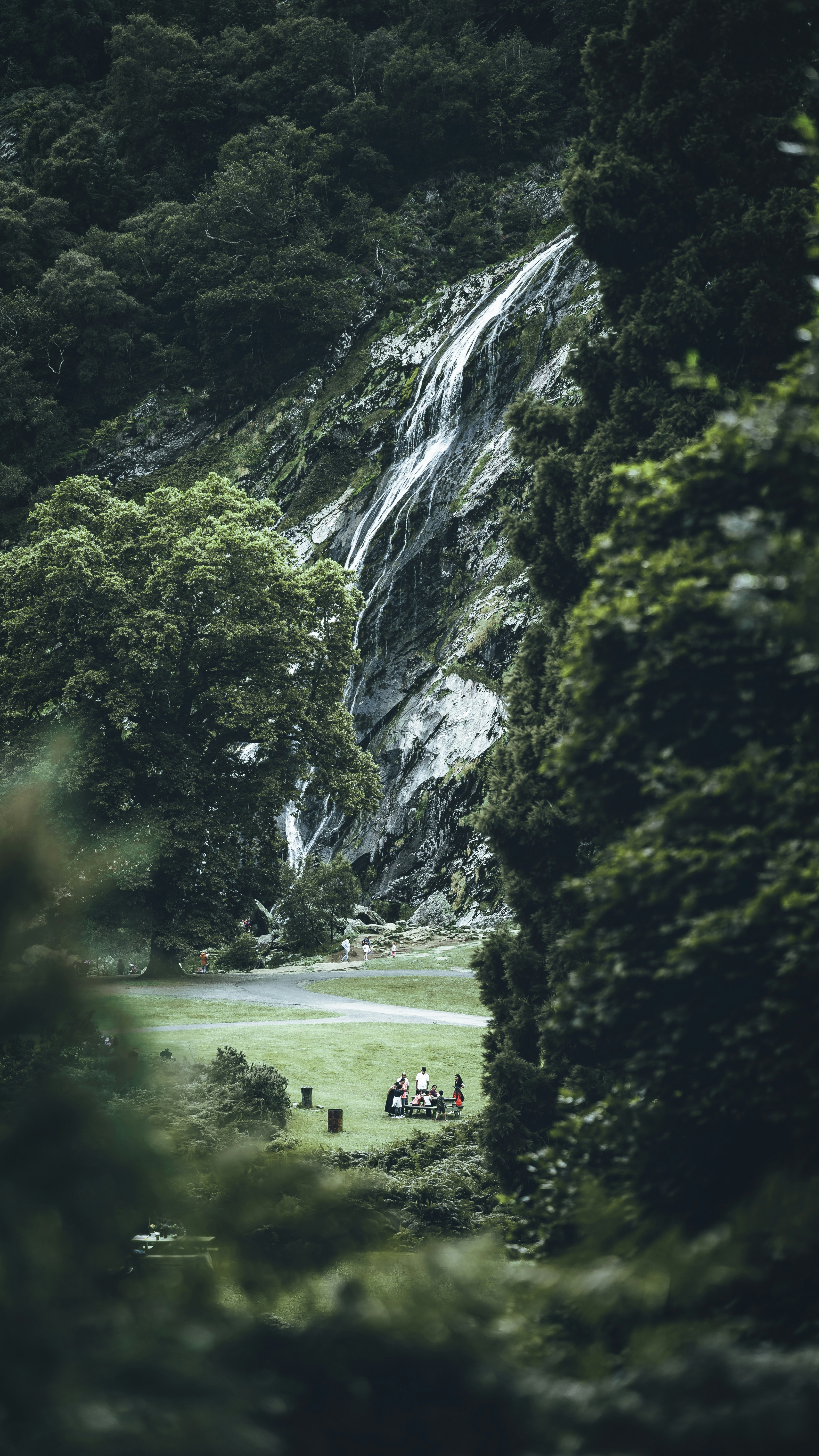 Un groupe de personnes à cheval à travers une forêt verdoyante