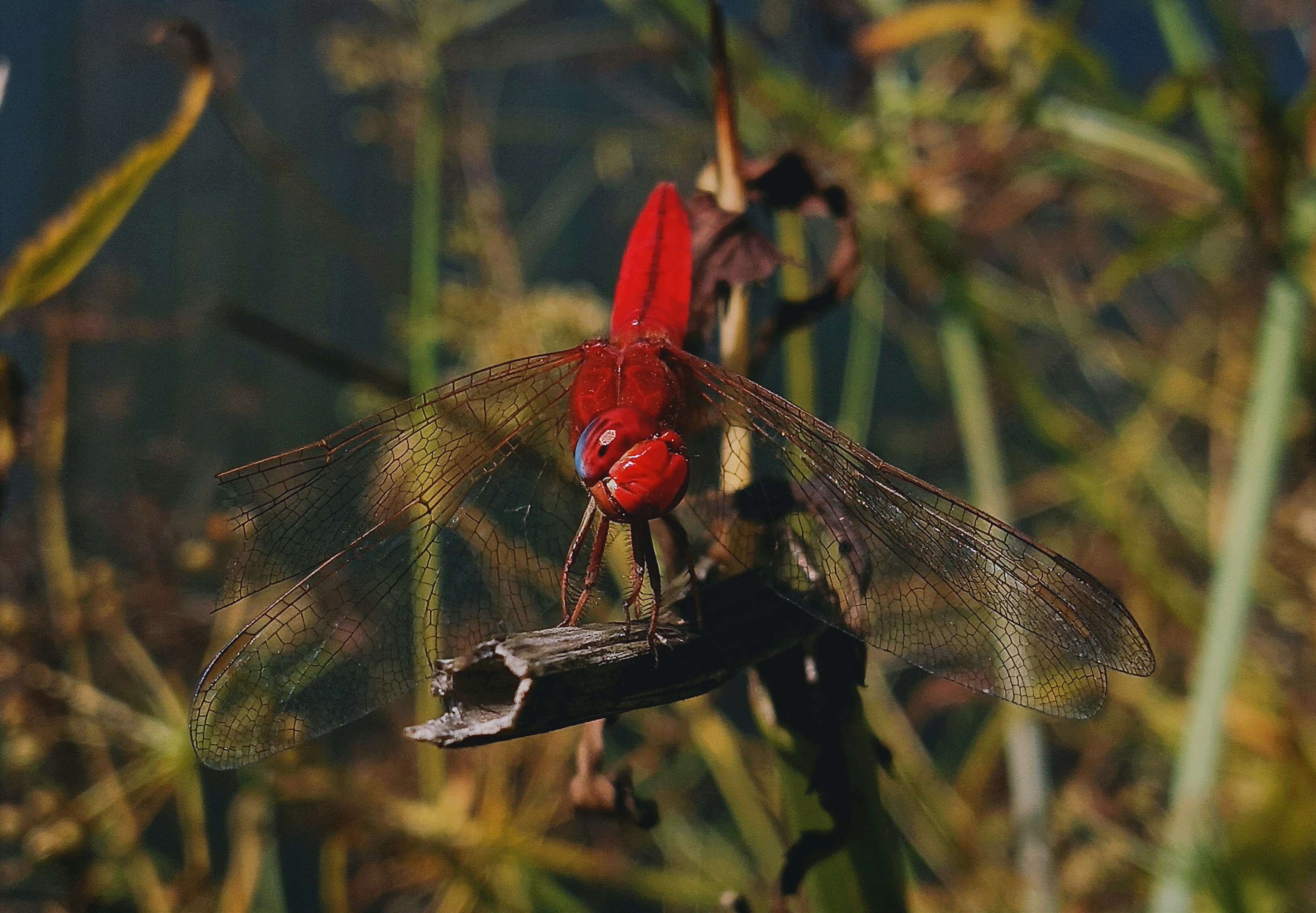 Photo by kazimbhai_photography