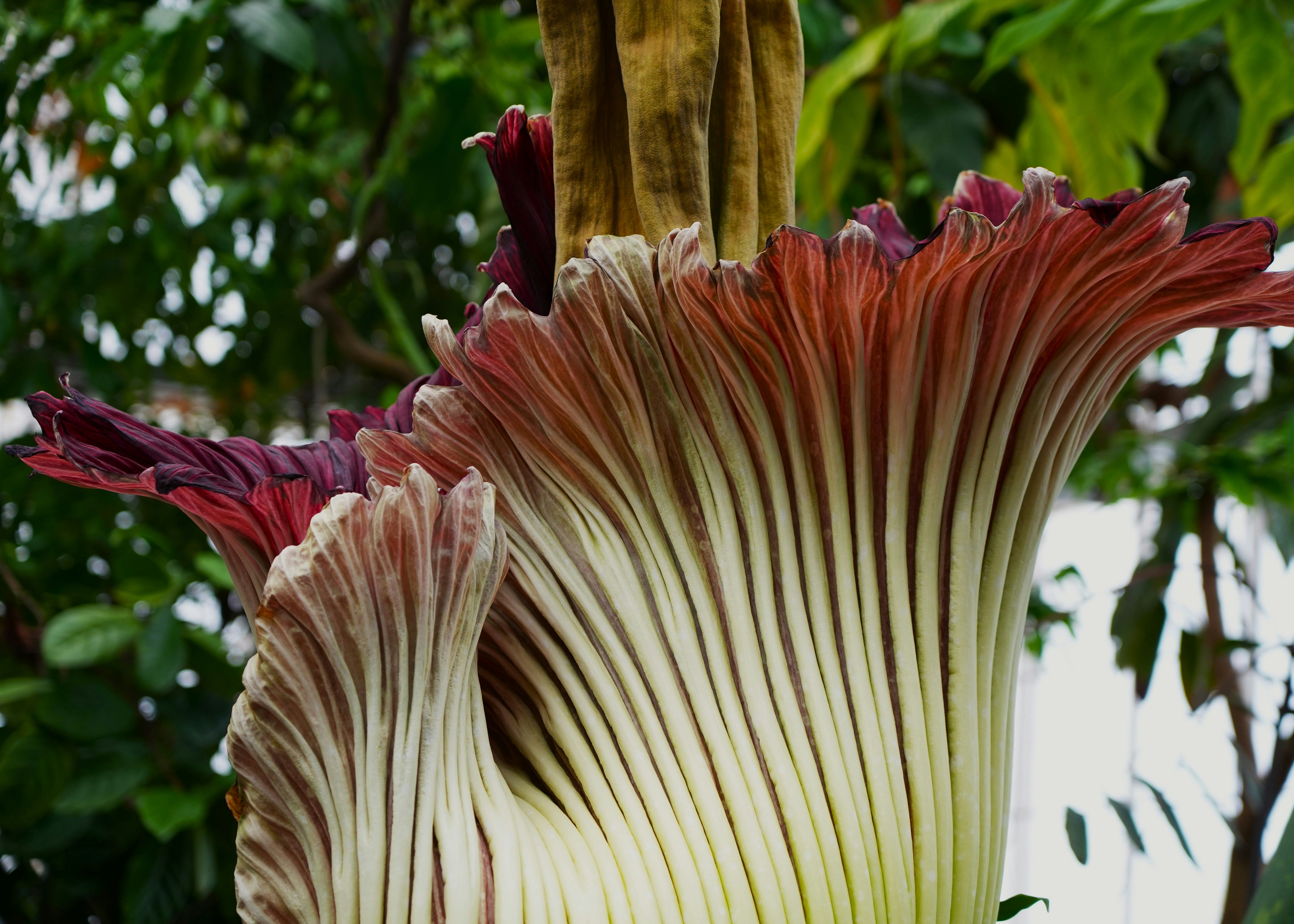 Photo by ievabrinkmane