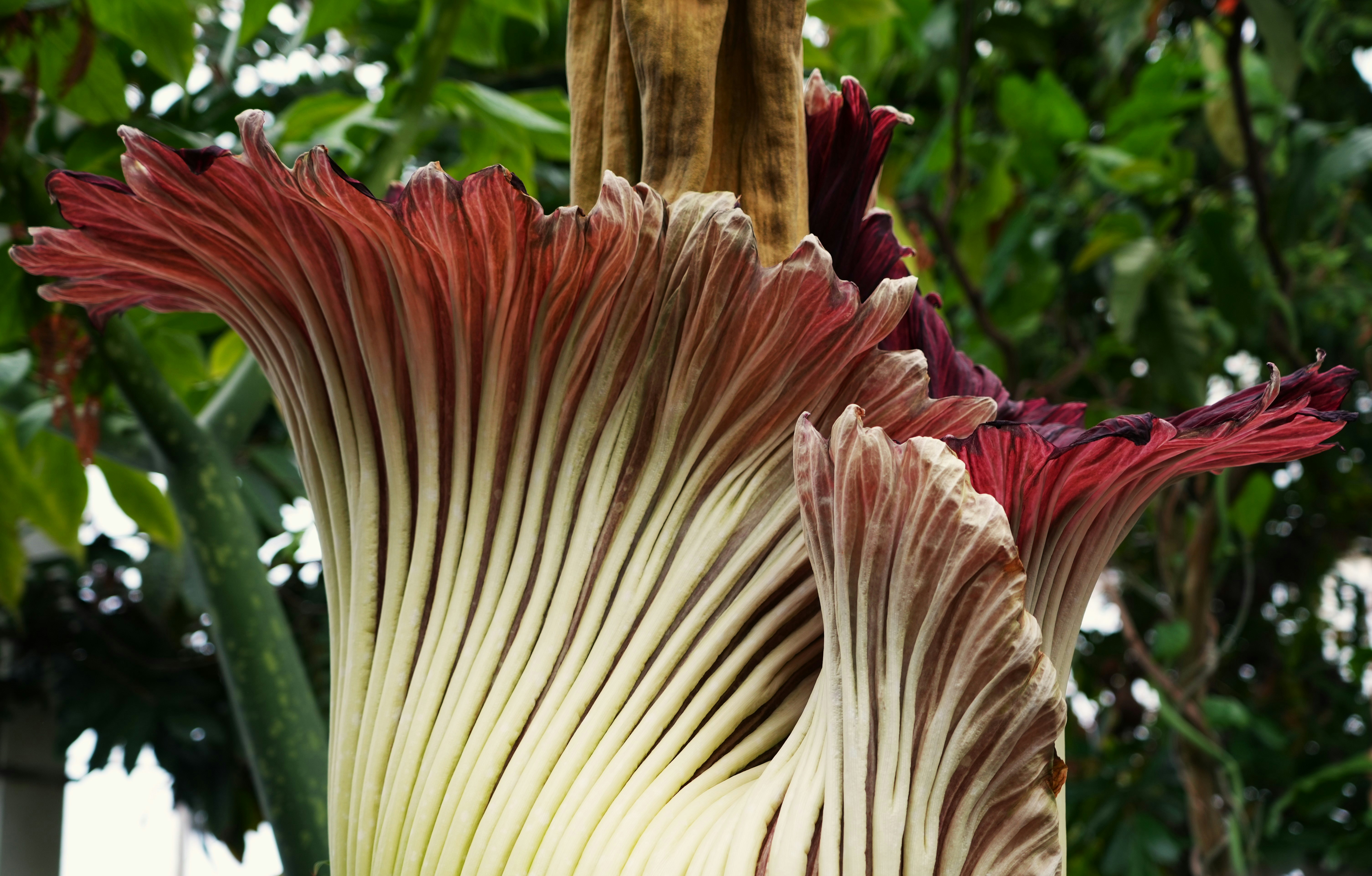 Photo by ievabrinkmane