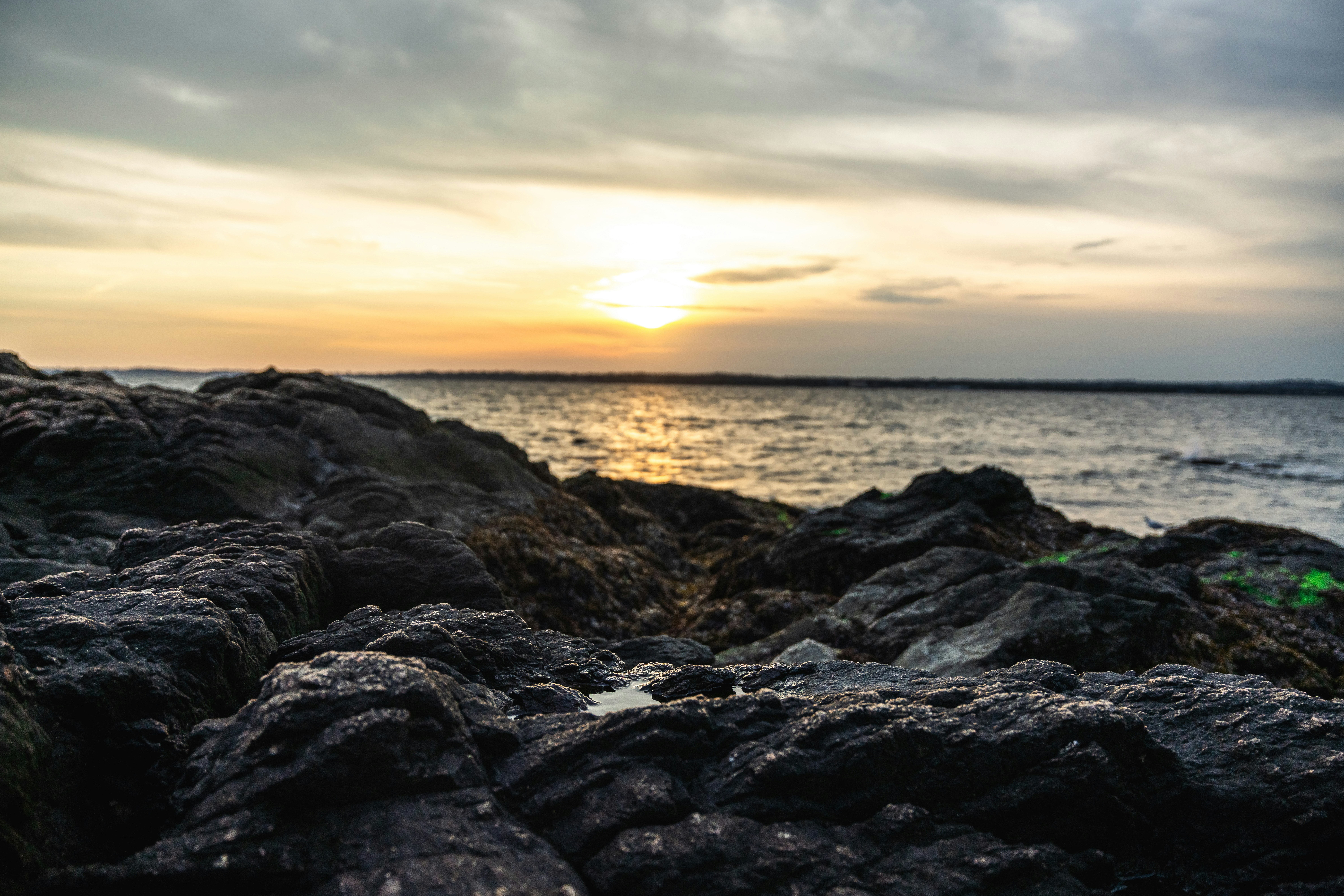 Photo by vasupendyalaa