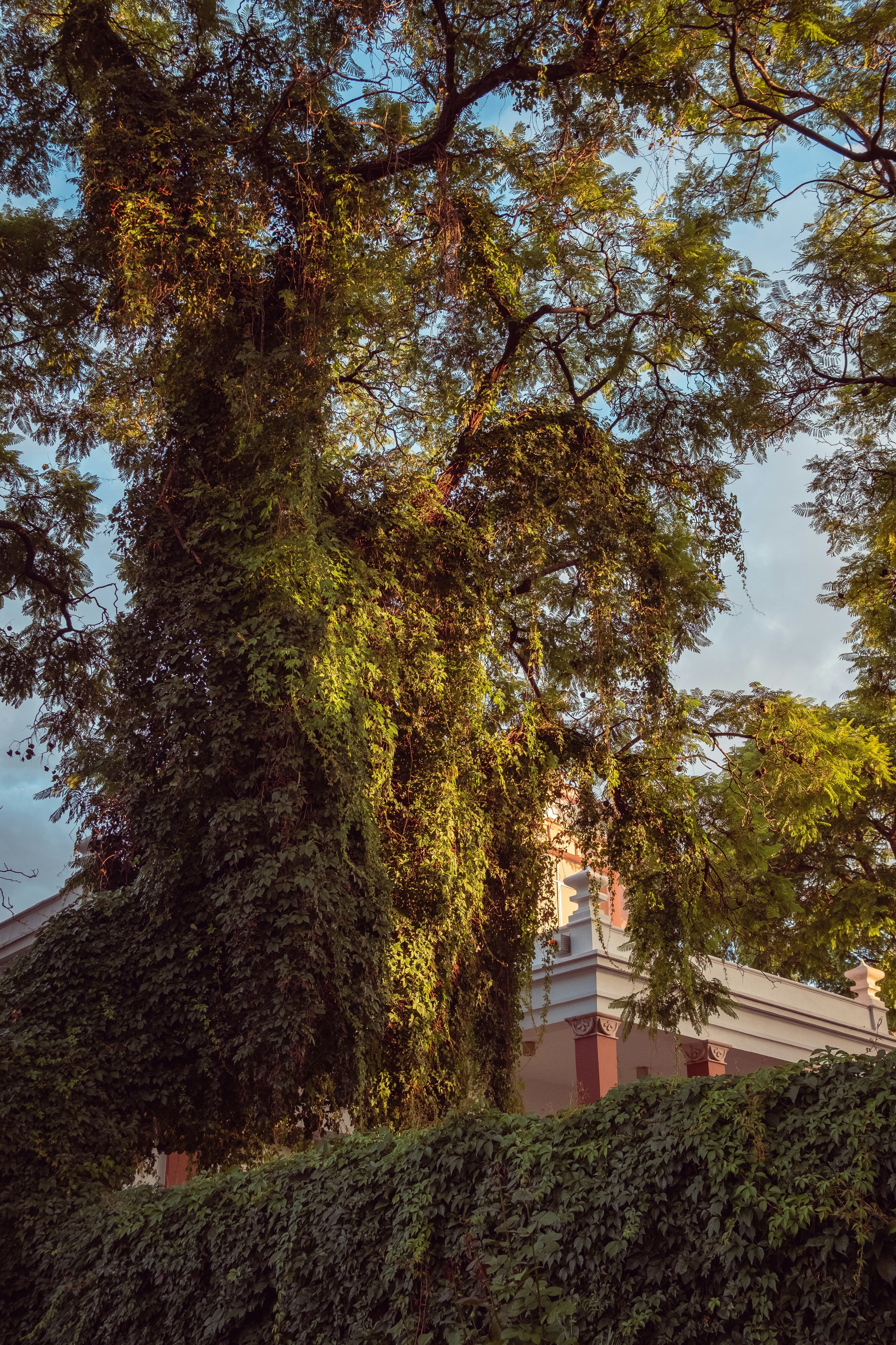 Photo by alex_quezada