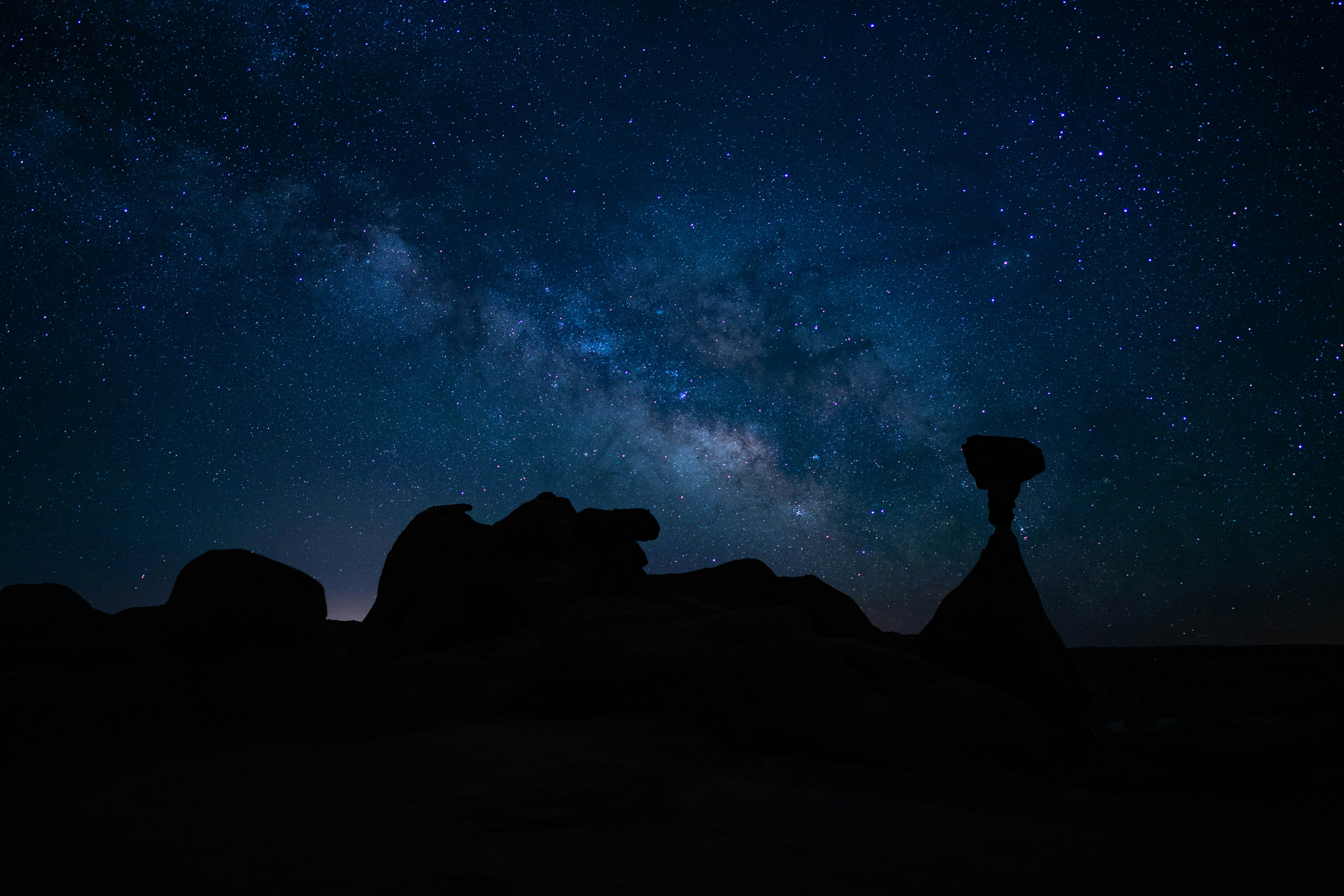 ABL 종신보험 해약 방법과 유의 사항