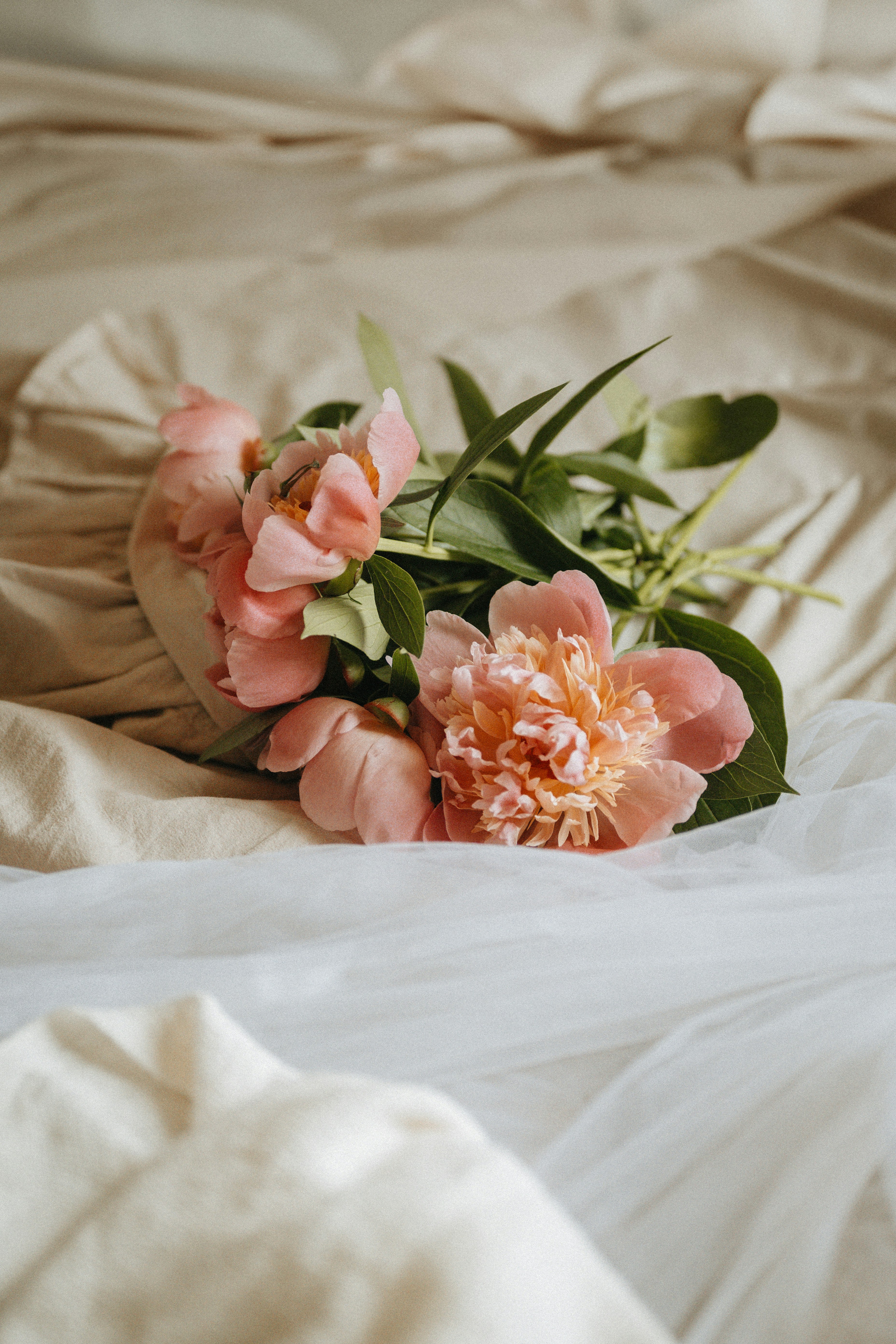 Photo by borysenkodasha