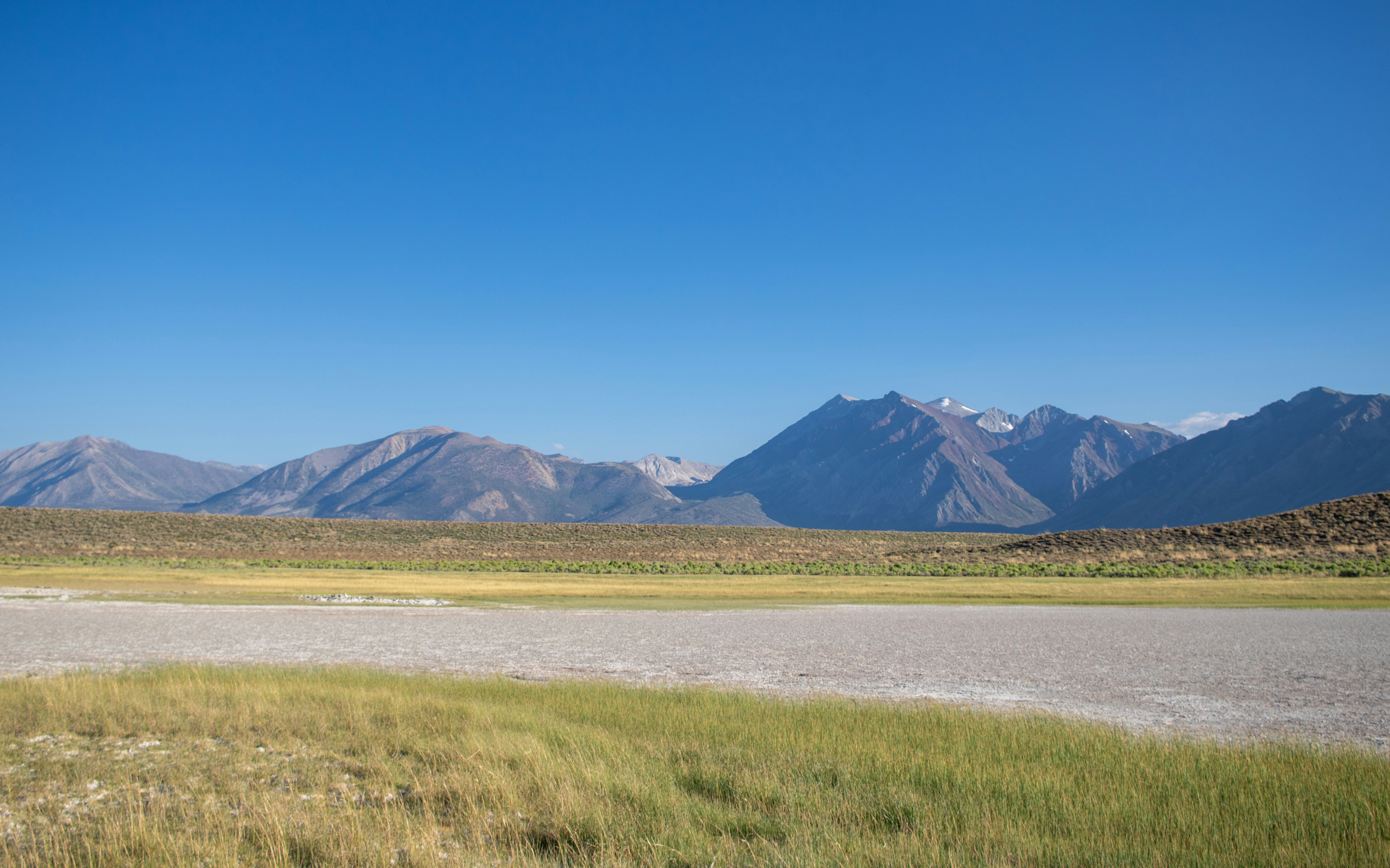 Photo by zoshuacolah