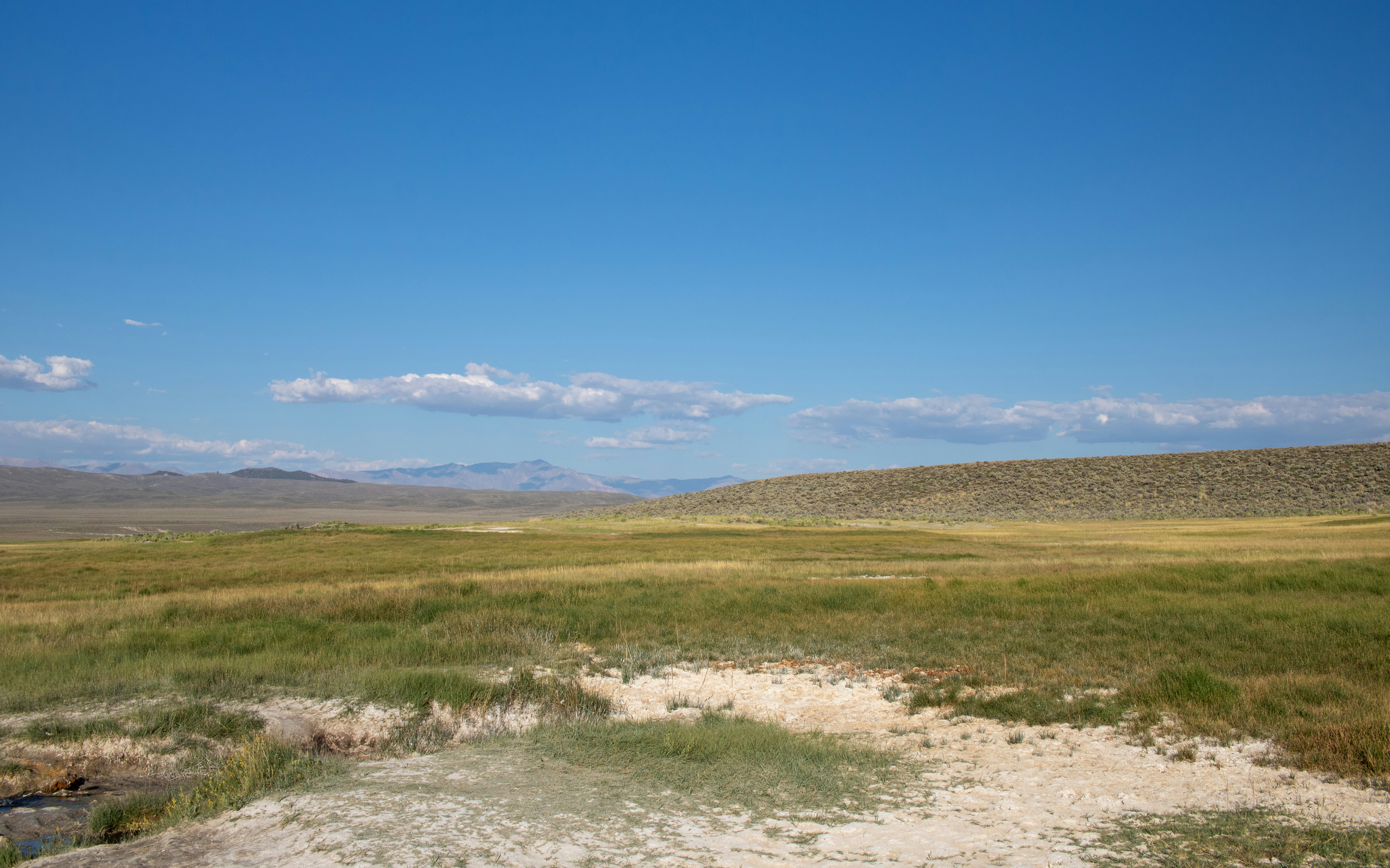 Photo by zoshuacolah