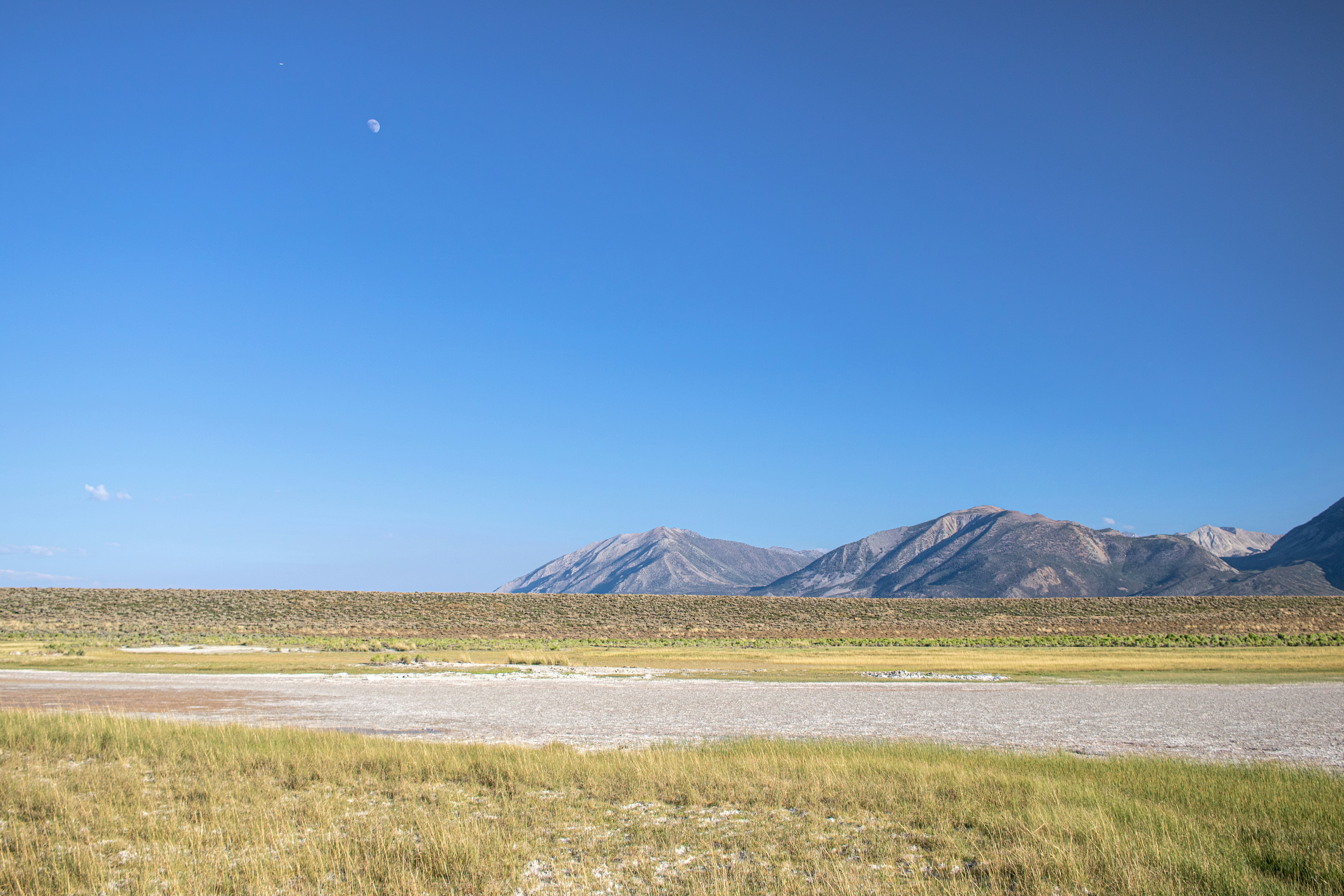 Photo by zoshuacolah