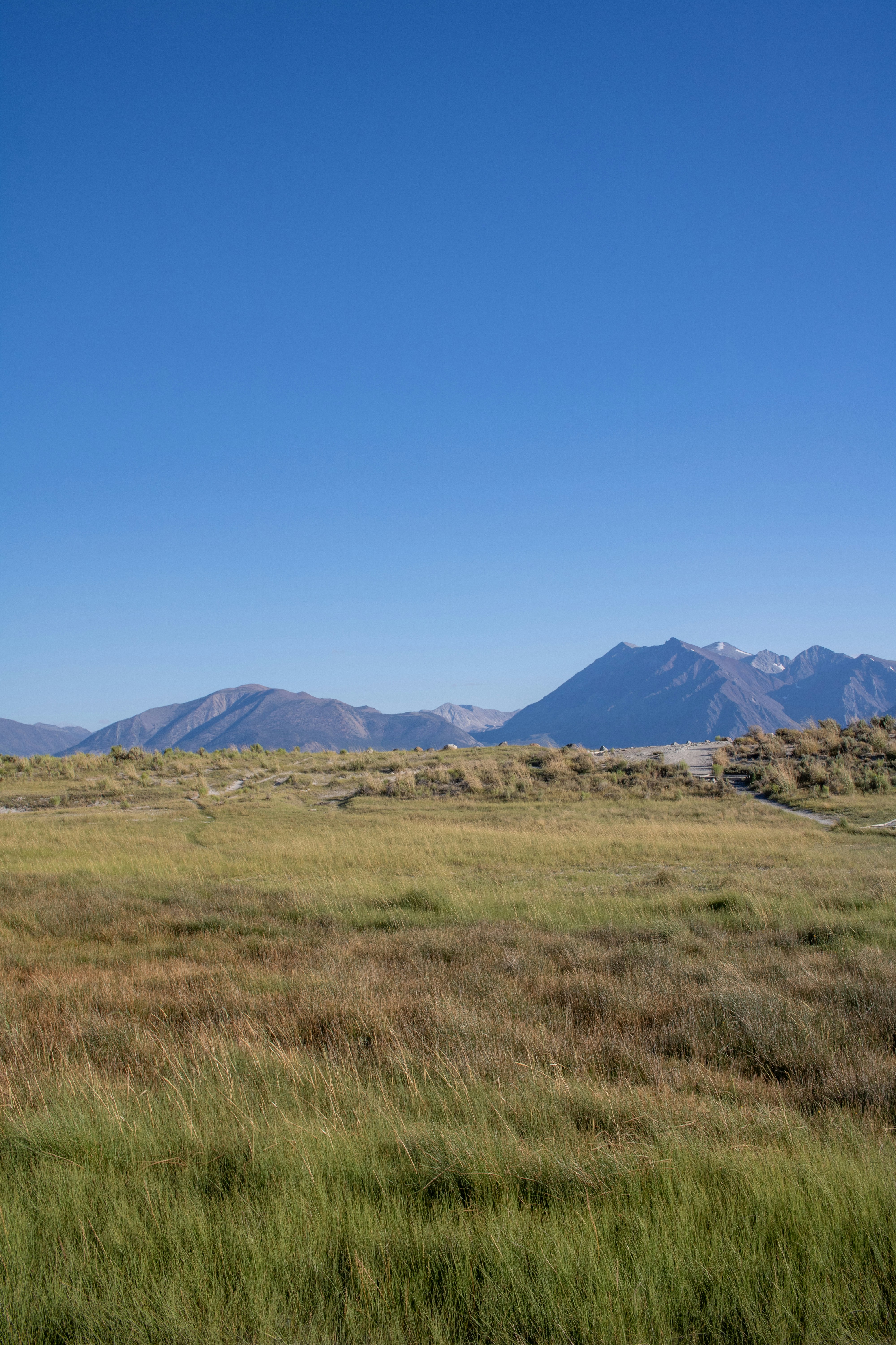 Photo by zoshuacolah