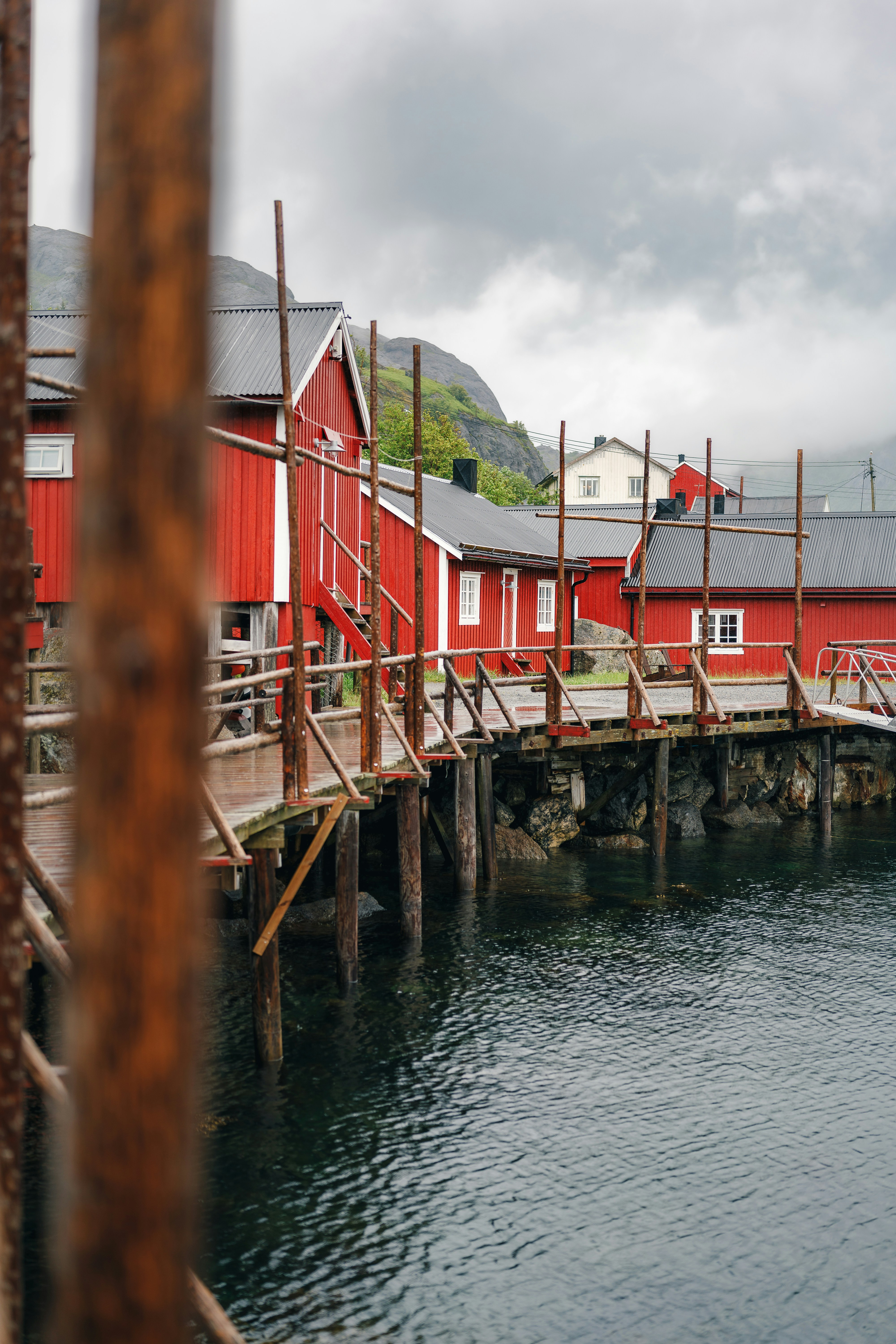 Photo by danielsessler