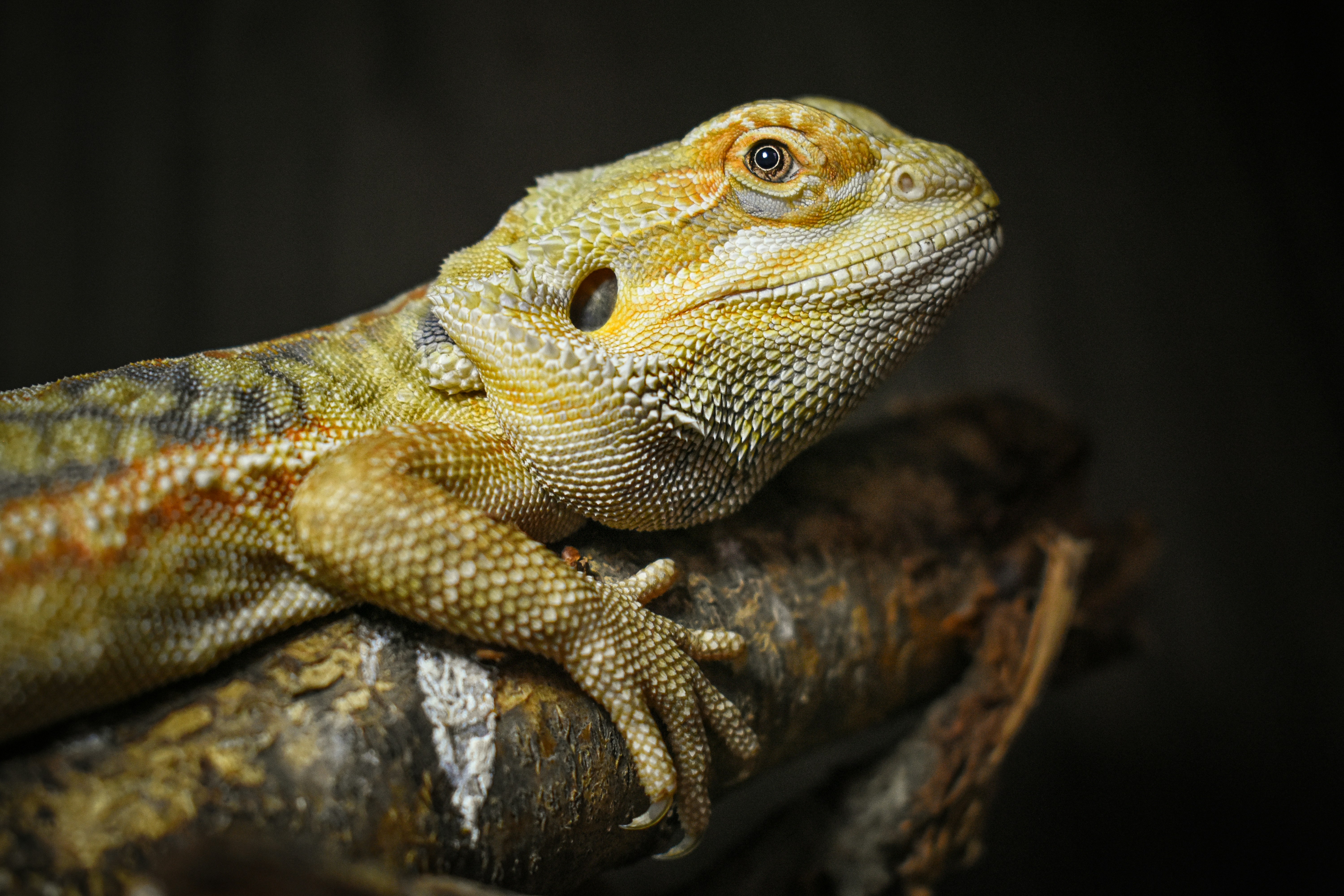 Photo by nikolasmitsiggas