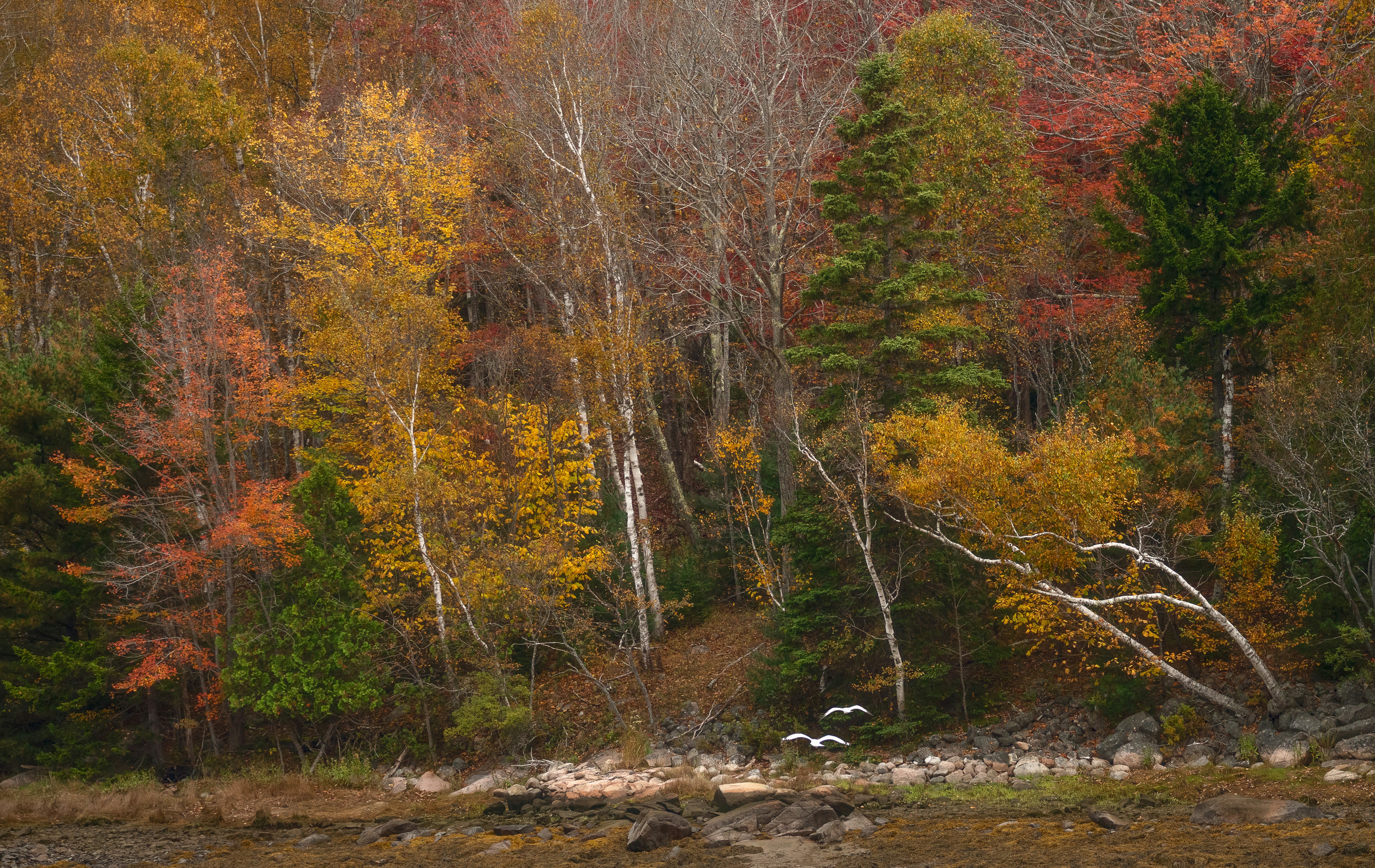 Photo by intricateexplorer