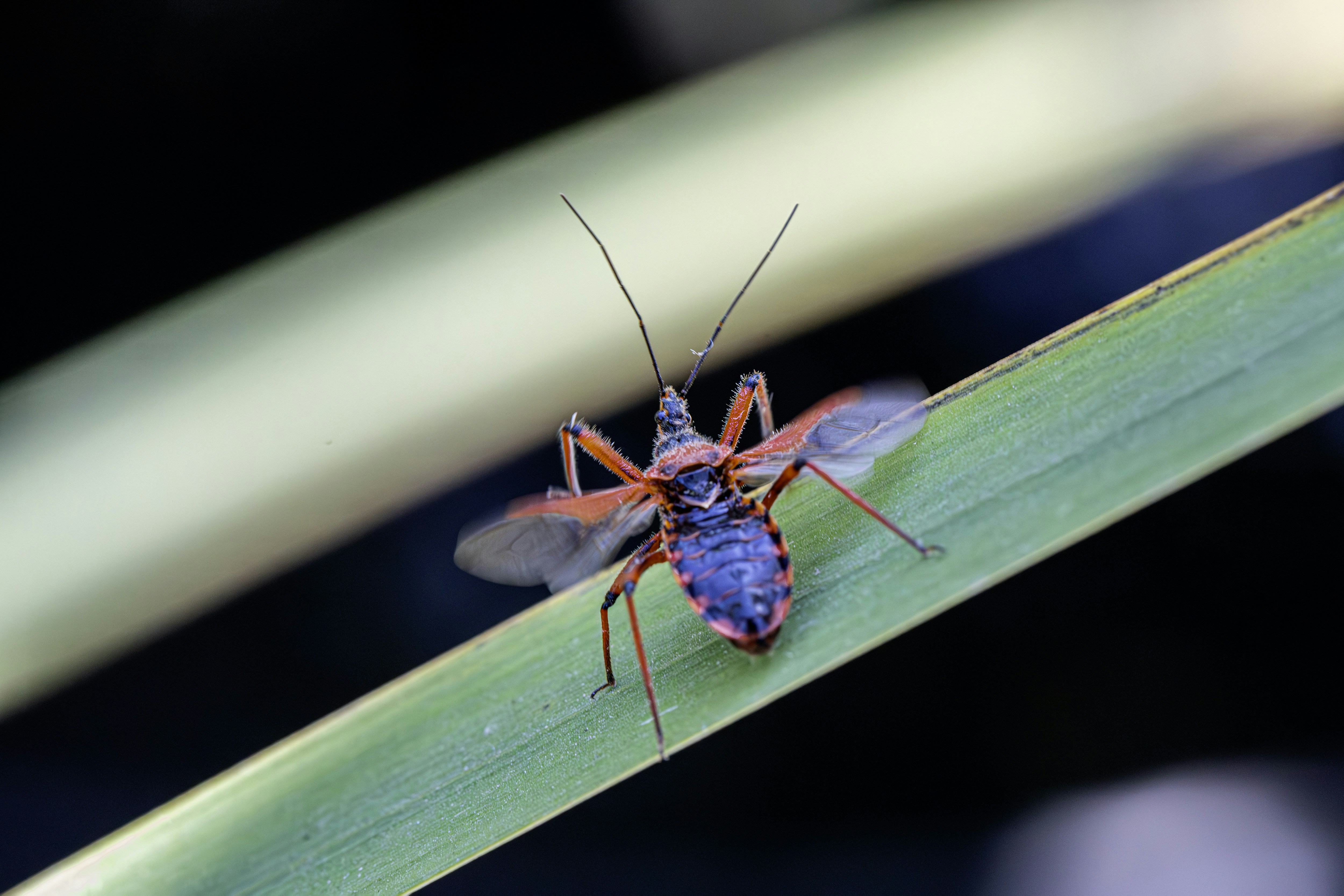 Photo by erik_karits