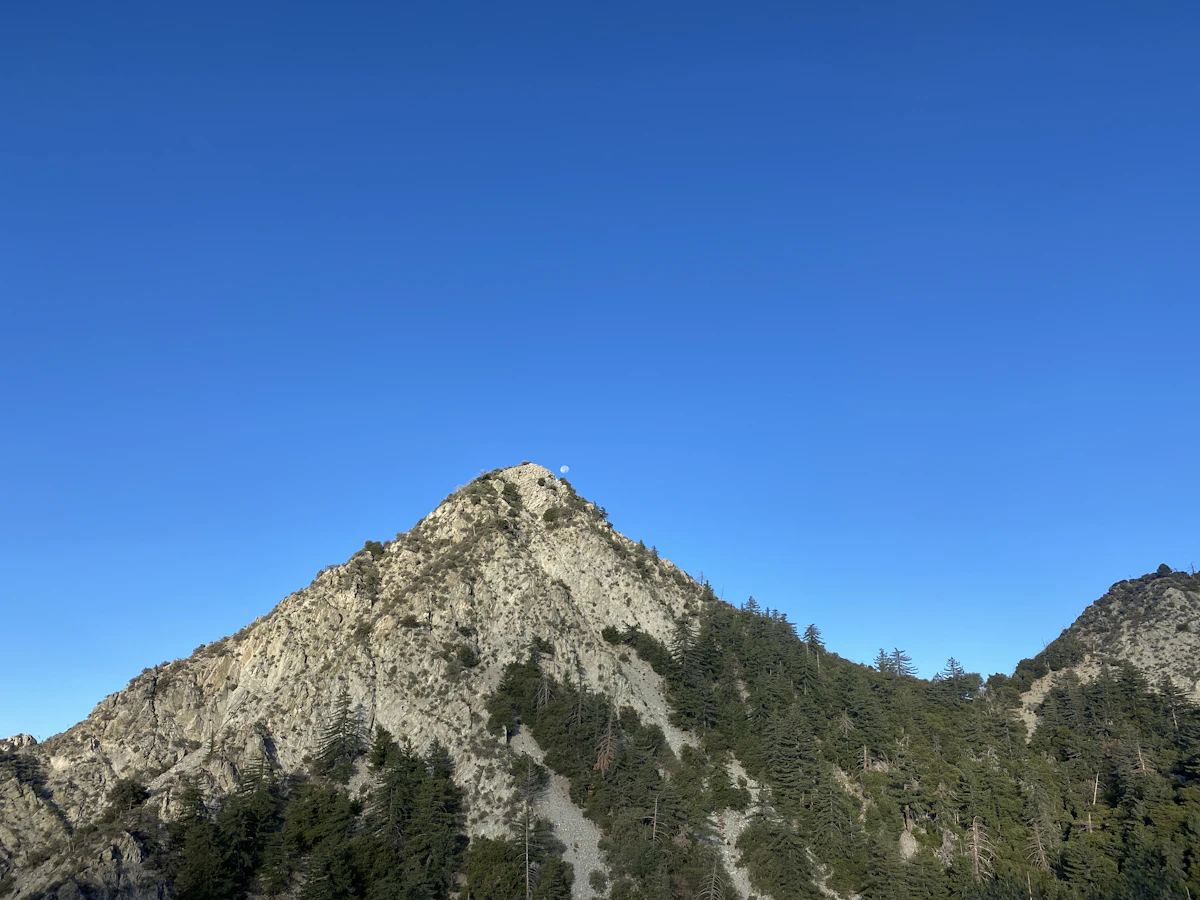 The rocky summit of Mount Lowe above pines, under a clear blue sky