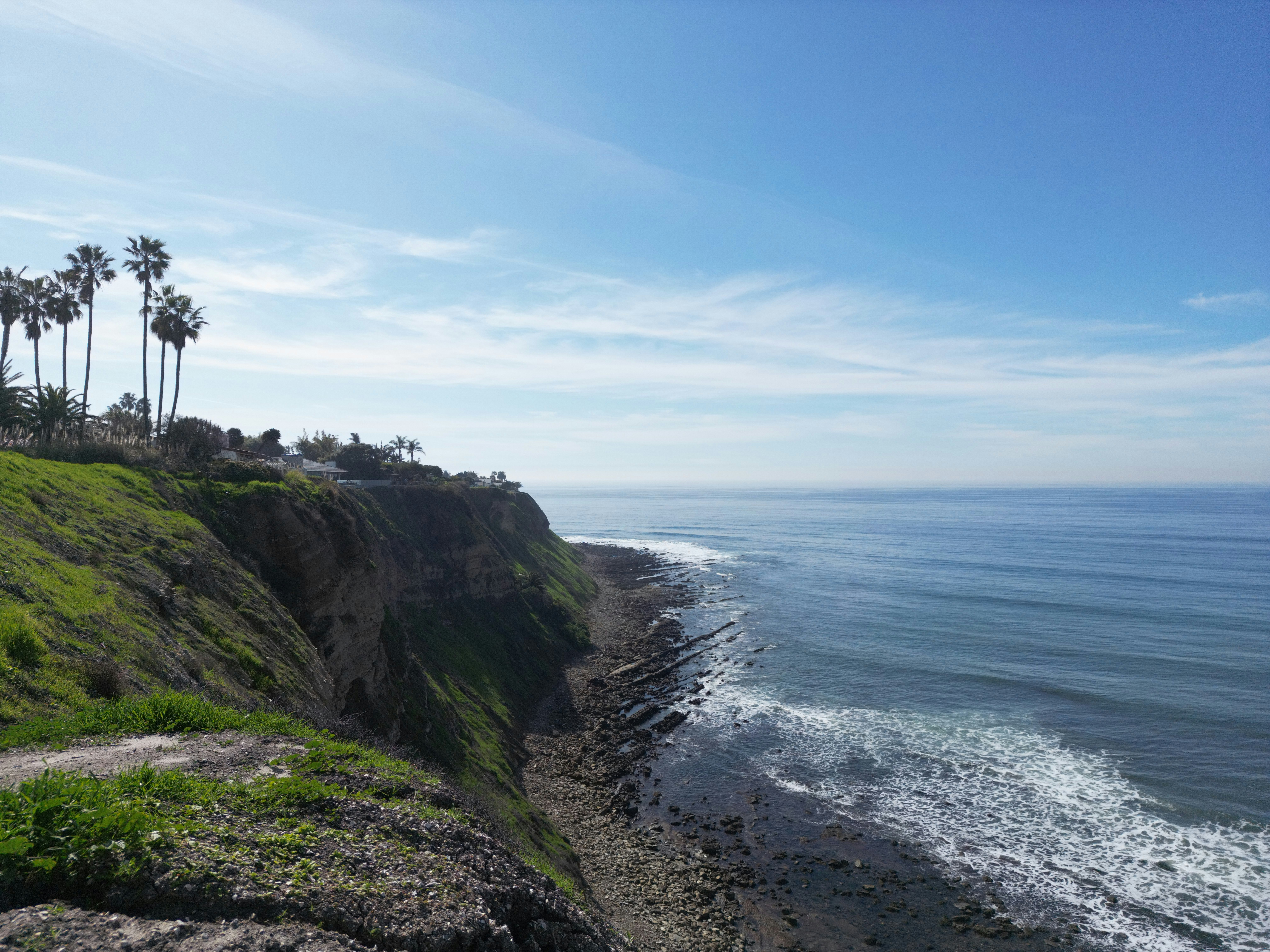 A cliff overlooking the ocean with palm trees