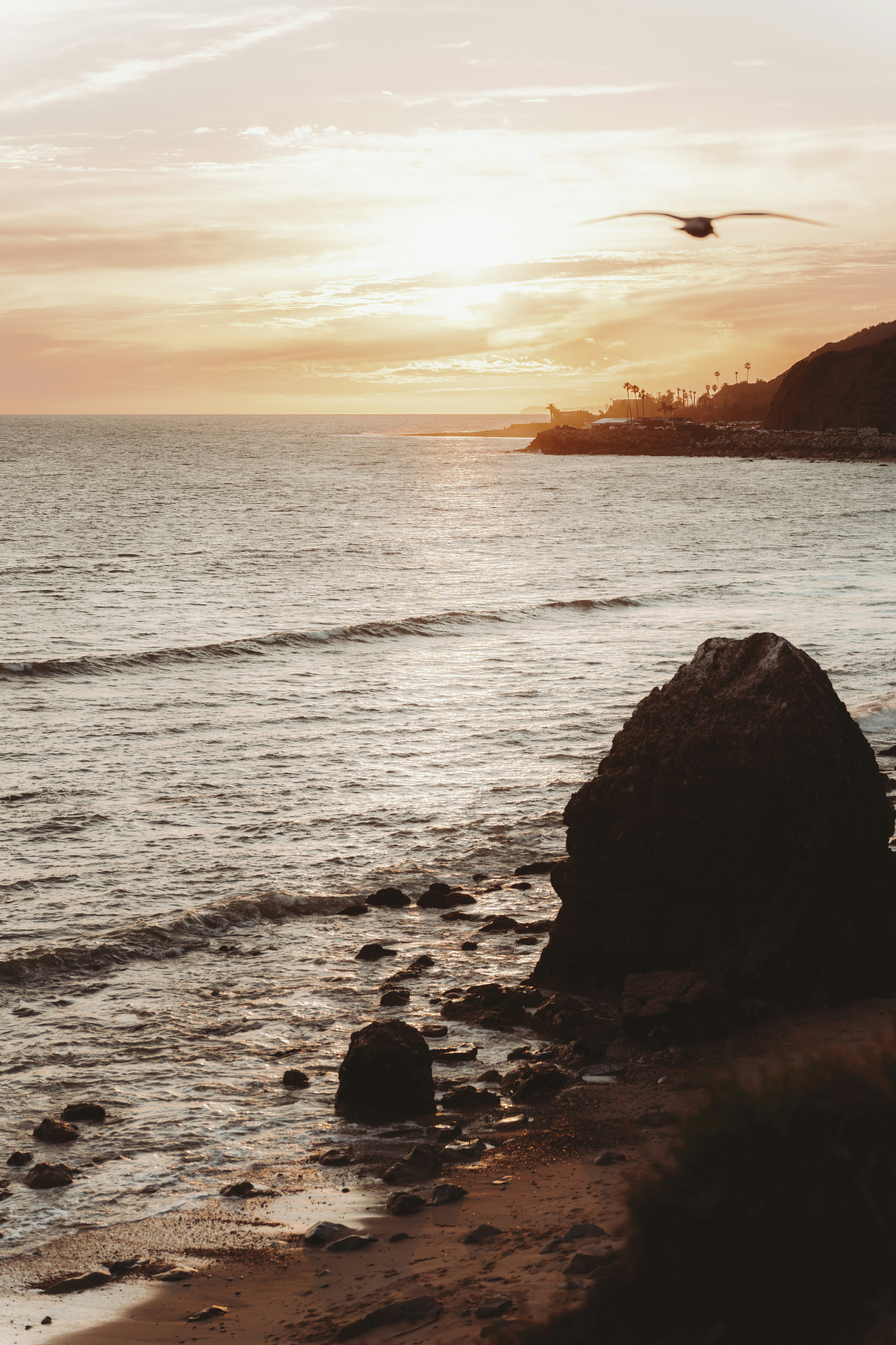 Photo by taiyoushounen