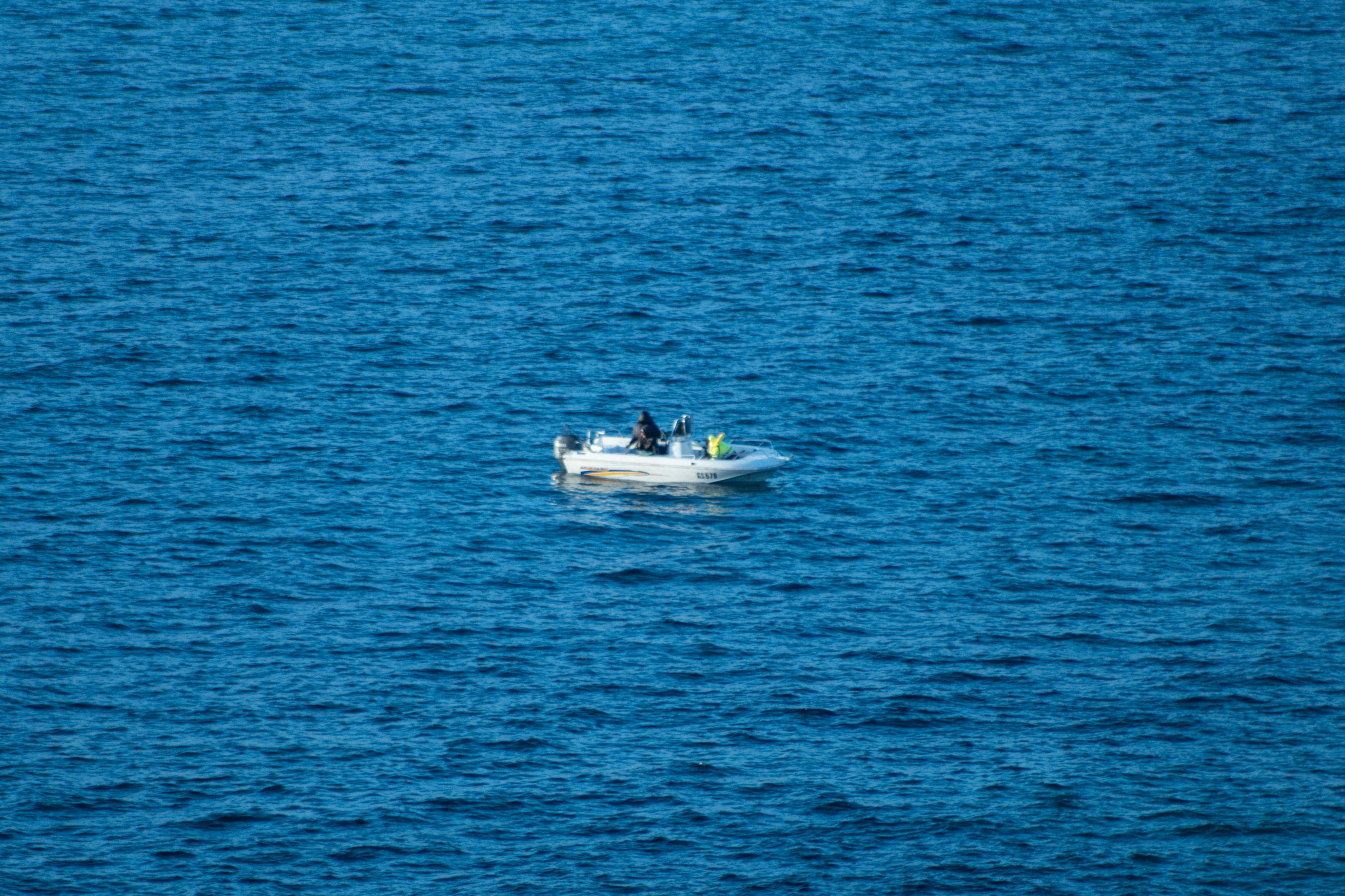 Photo by harjas_hora