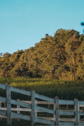 A person jumping a bike over a wooden fence