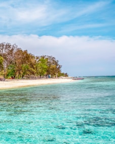 A beach that has a boat in the water
