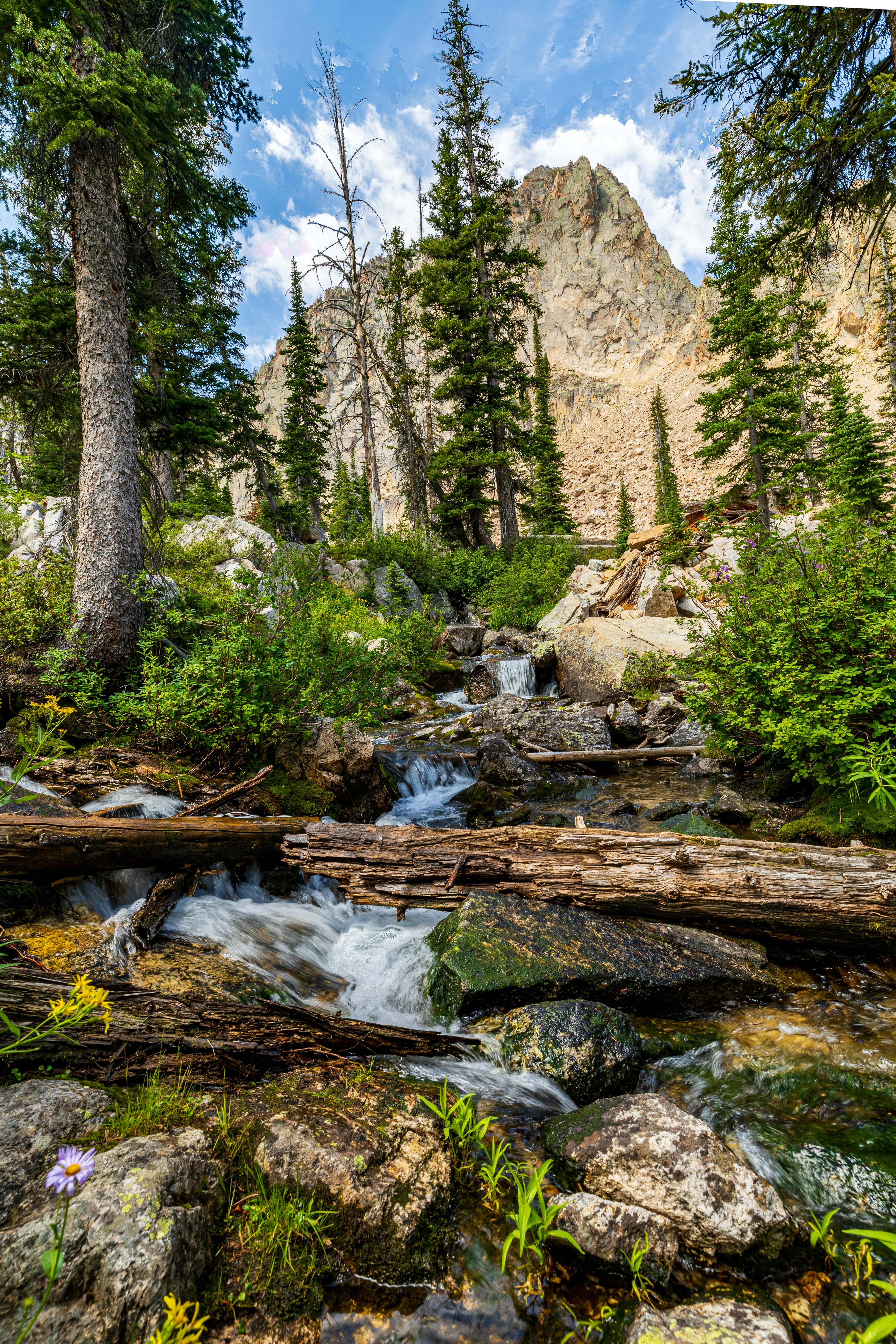 Photo by lancetraveler60