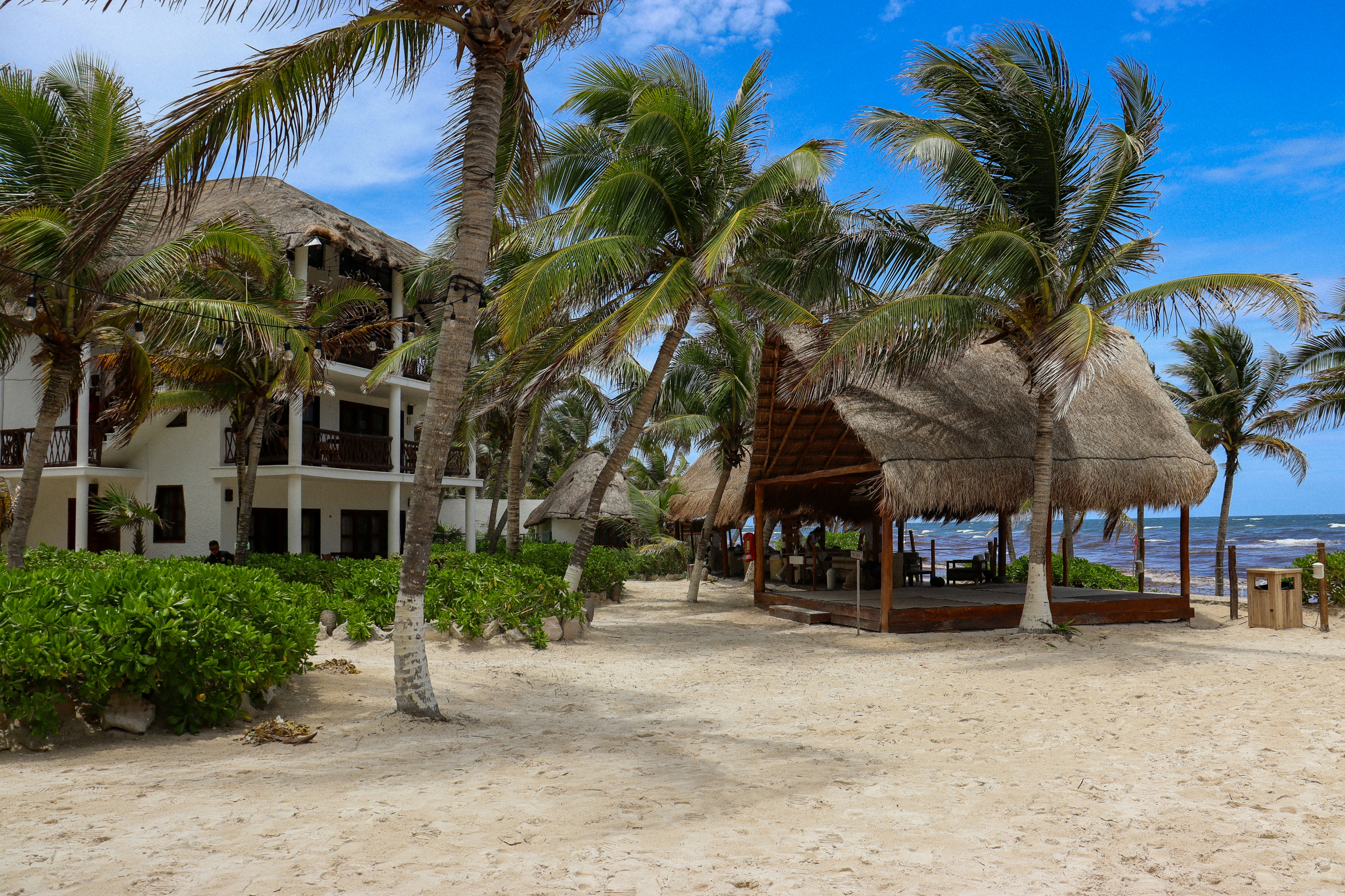 Photo by nicolearangolang