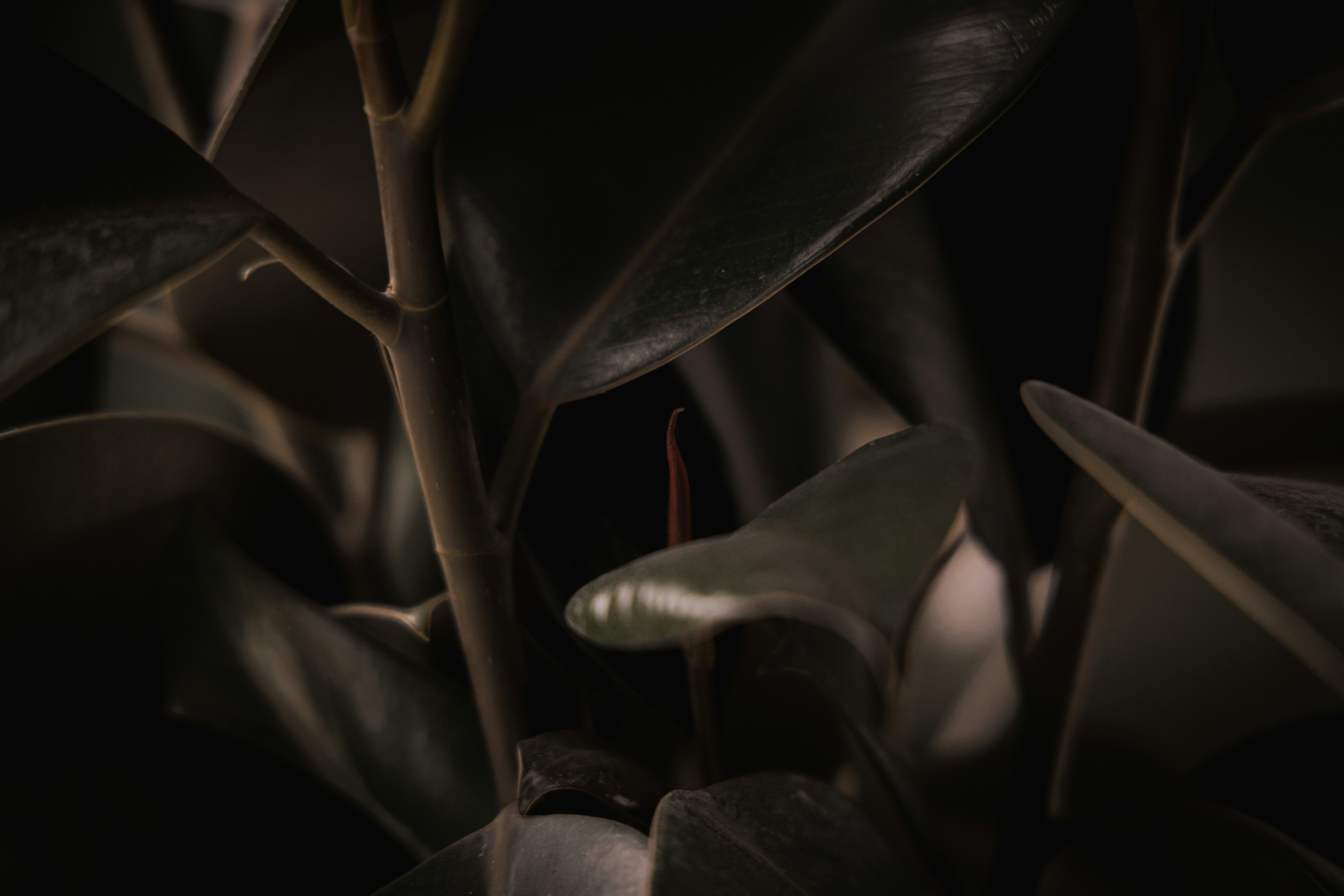 Photo by ldpeterson11