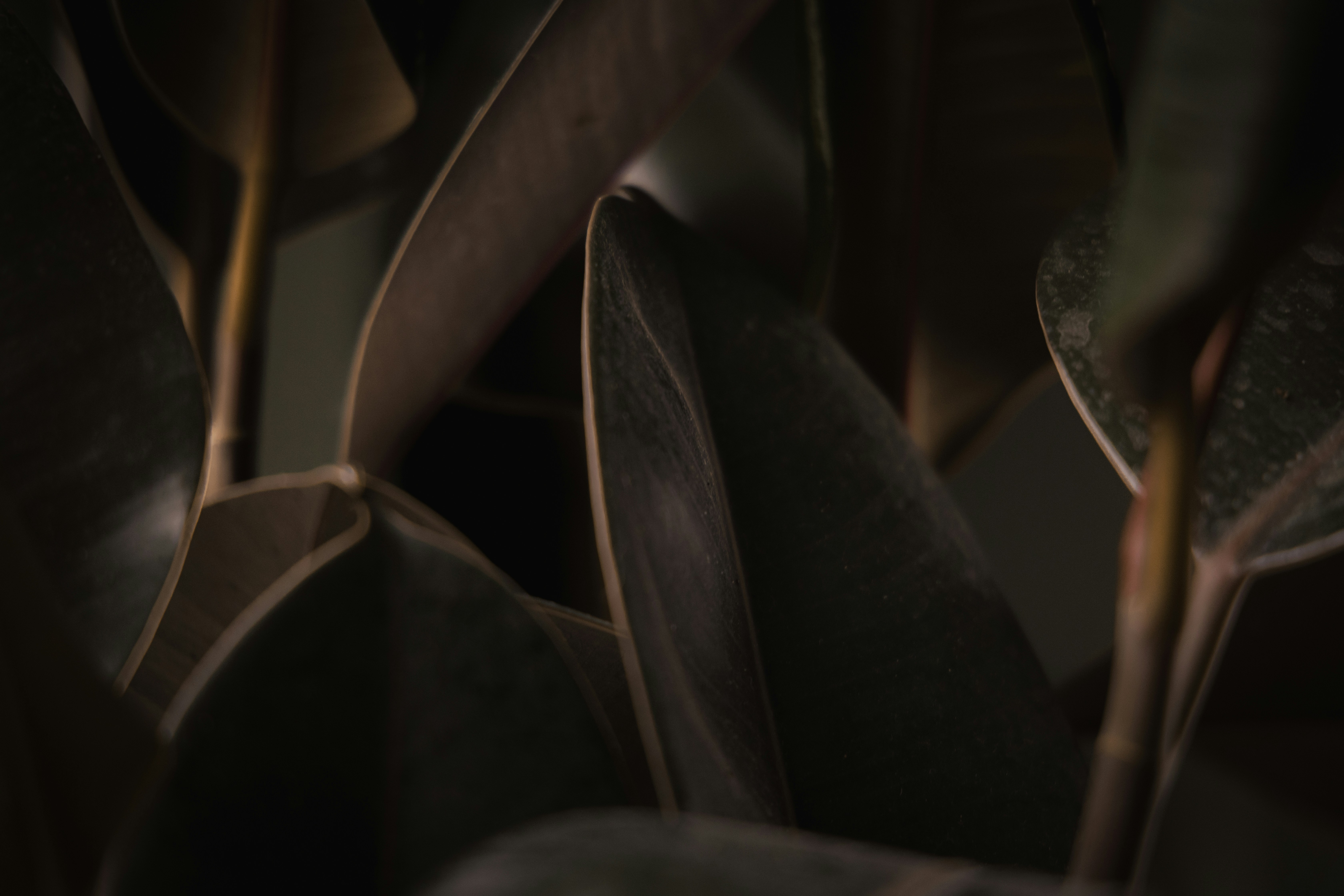 Photo by ldpeterson11