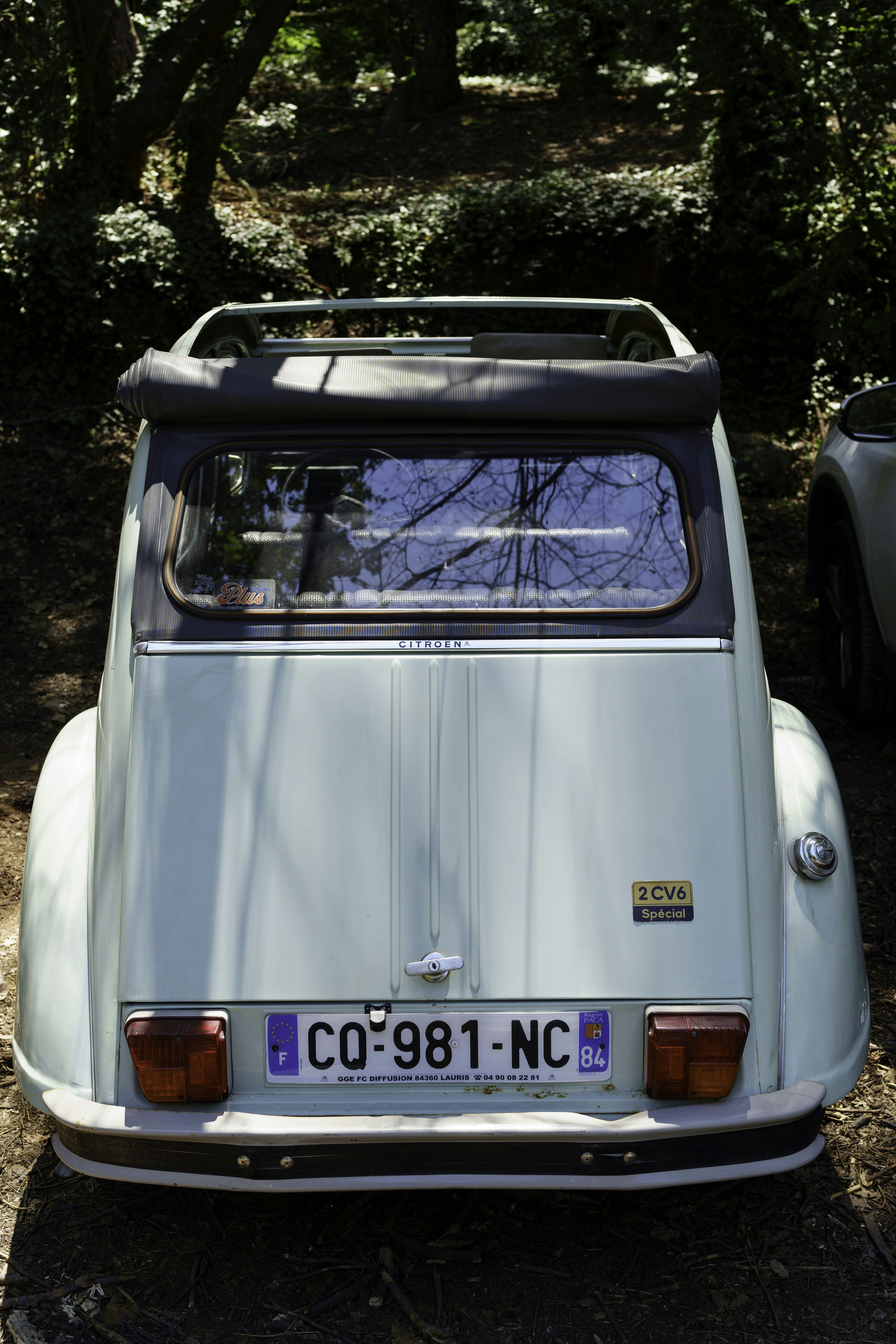 Un pequeño coche azul aparcado junto a un árbol