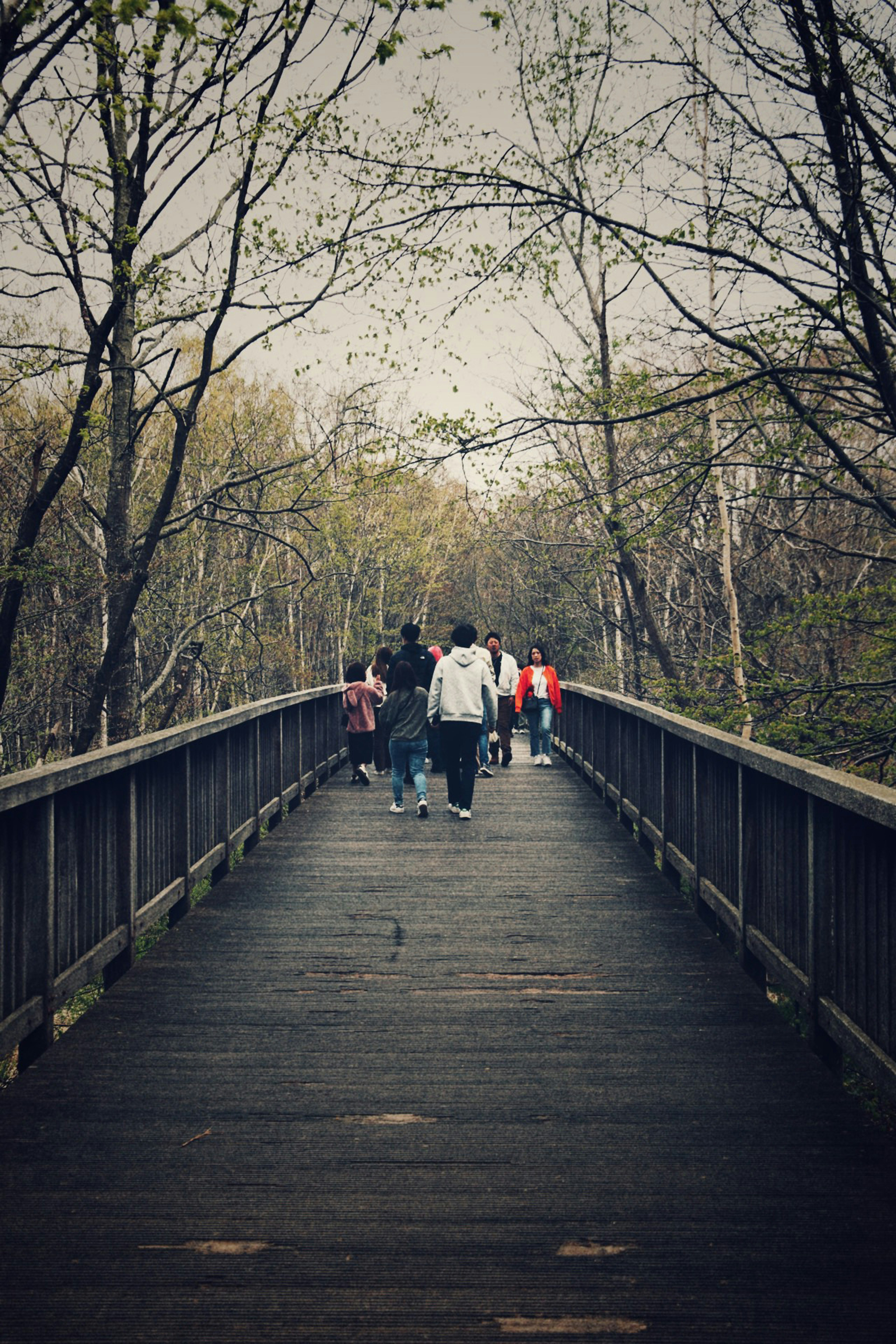 A group of people walking across a bridge photo – Free Path Image on ...